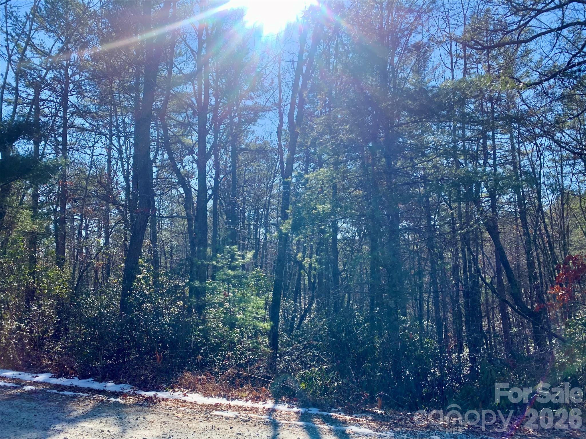 Lot 18 Oak Ridge Drive 18 Property Photo 6