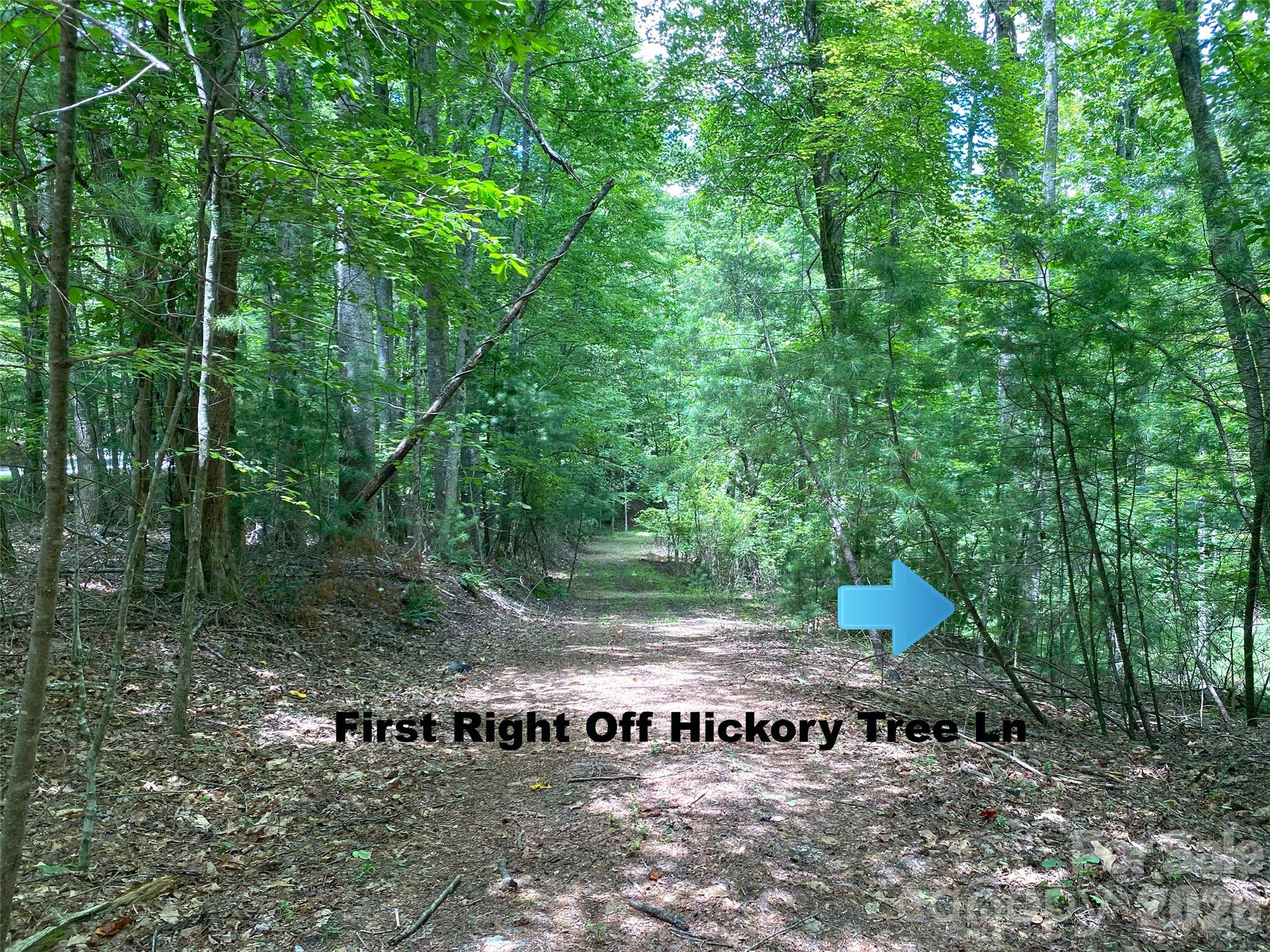 Tbd Hickory Tree Lane 23/#28 Property Photo 7