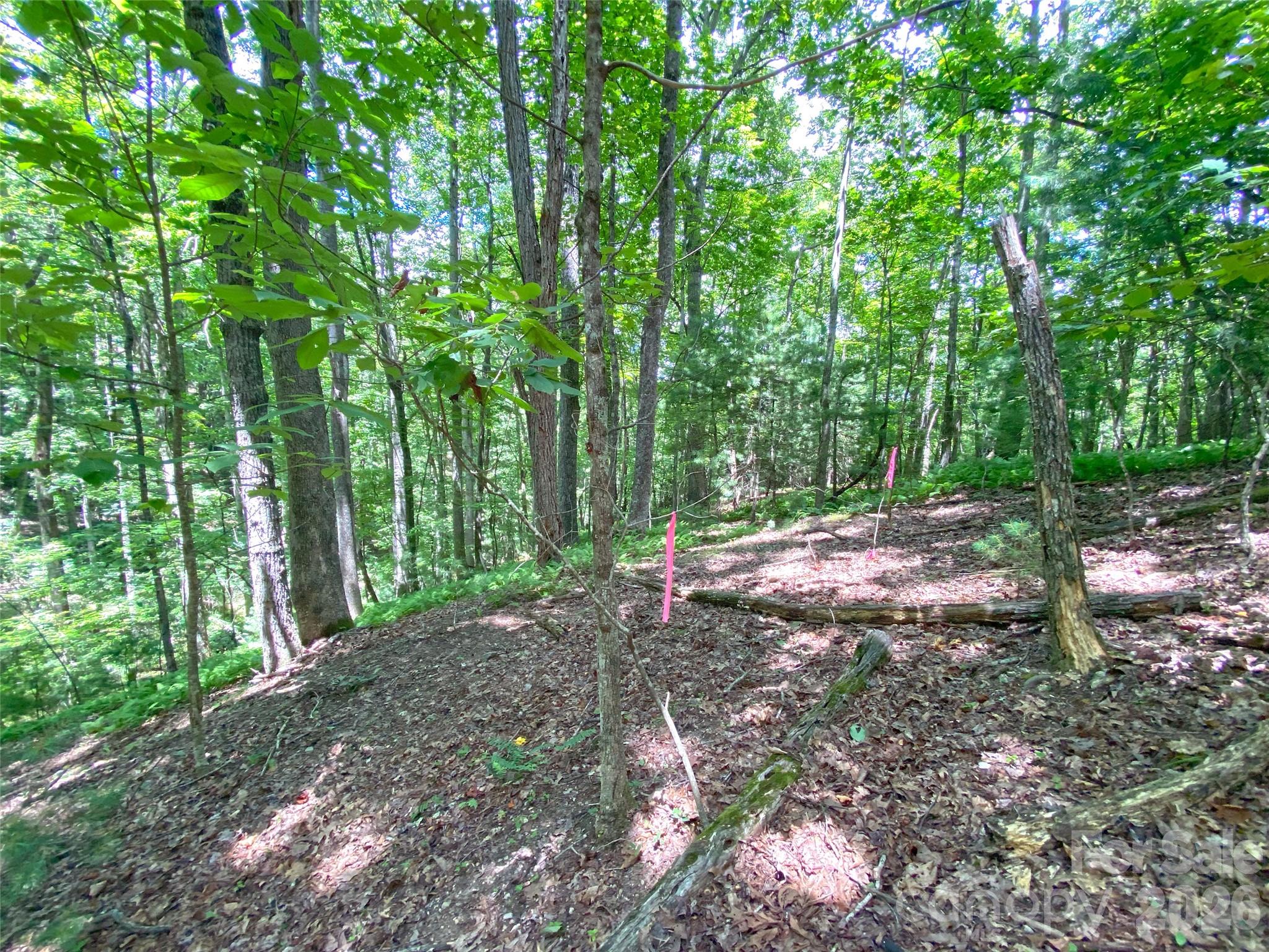 Tbd Hickory Tree Lane 23/#28 Property Photo 11