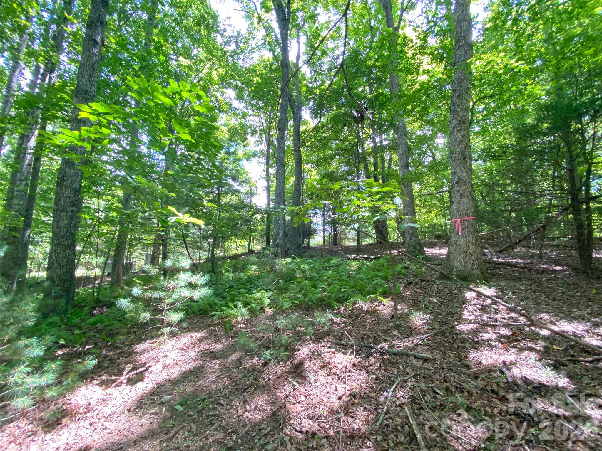 Tbd Hickory Tree Lane 23/#28 Property Photo 14