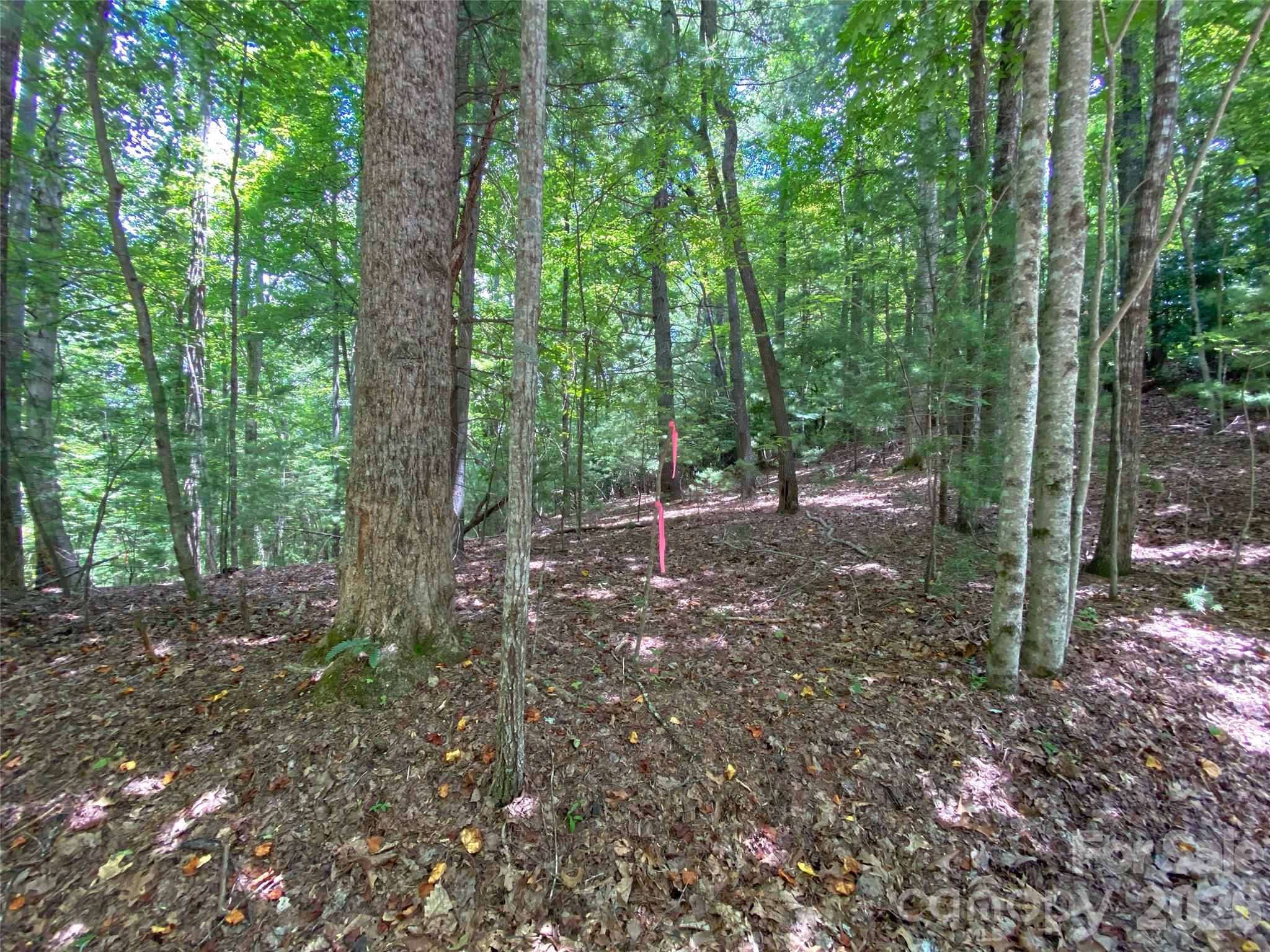 Tbd Hickory Tree Lane 23/#28 Property Photo 16