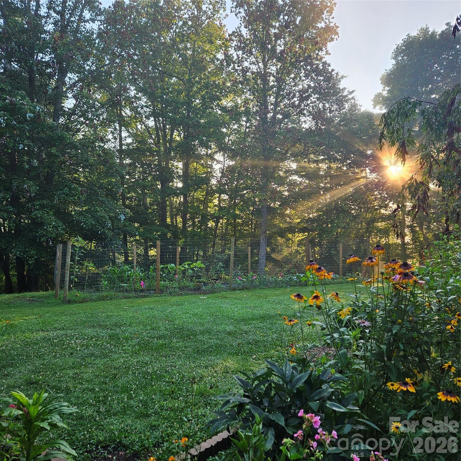 649 Upper Bailey Branch Road Property Photo 3