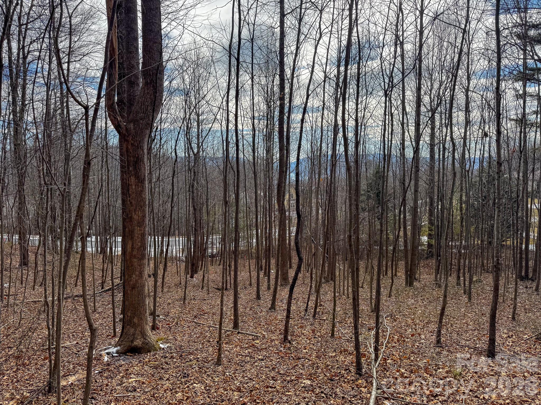 770 Somersby Parkway Property Photo 1