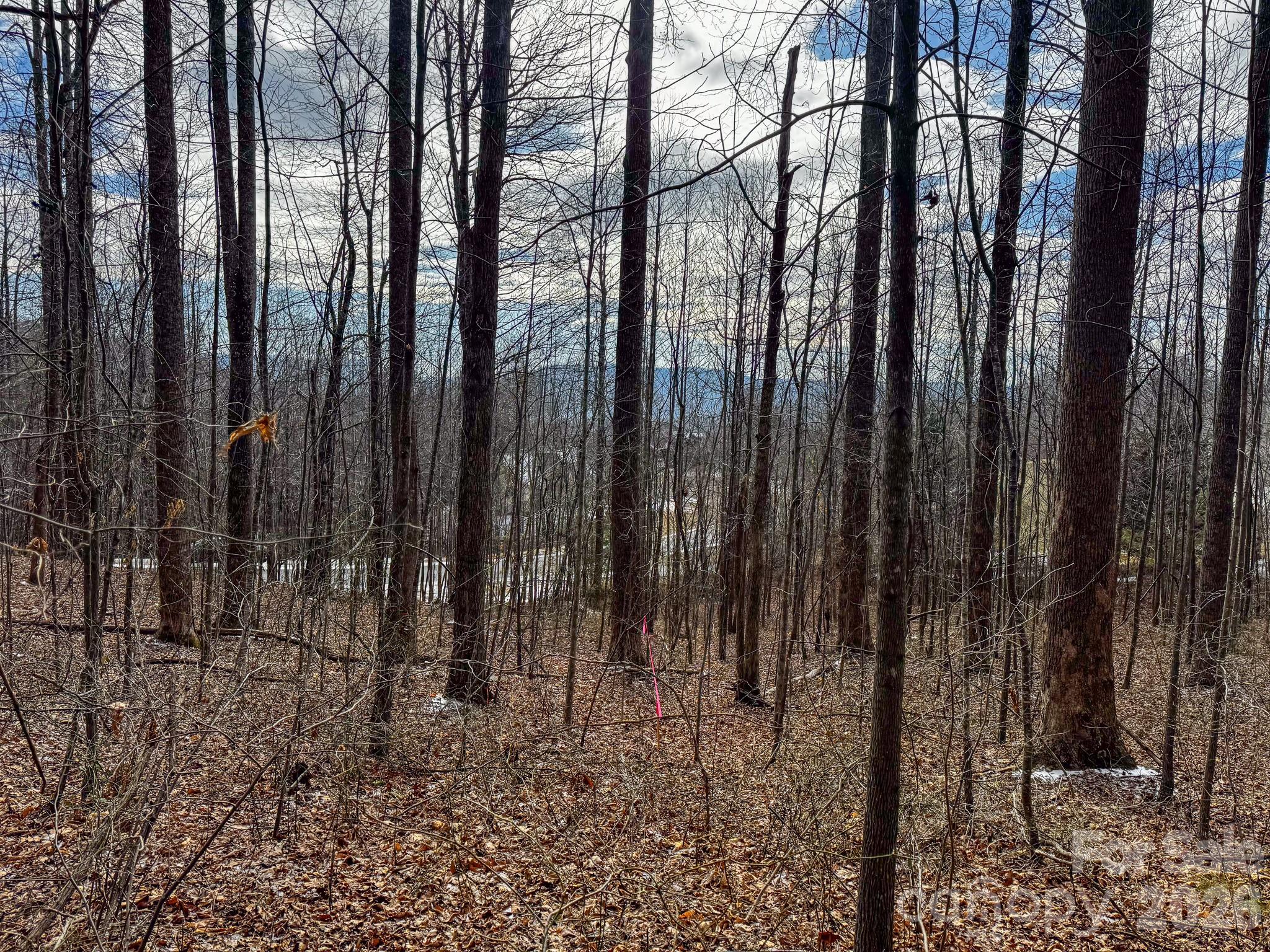 770 Somersby Parkway Property Photo 4