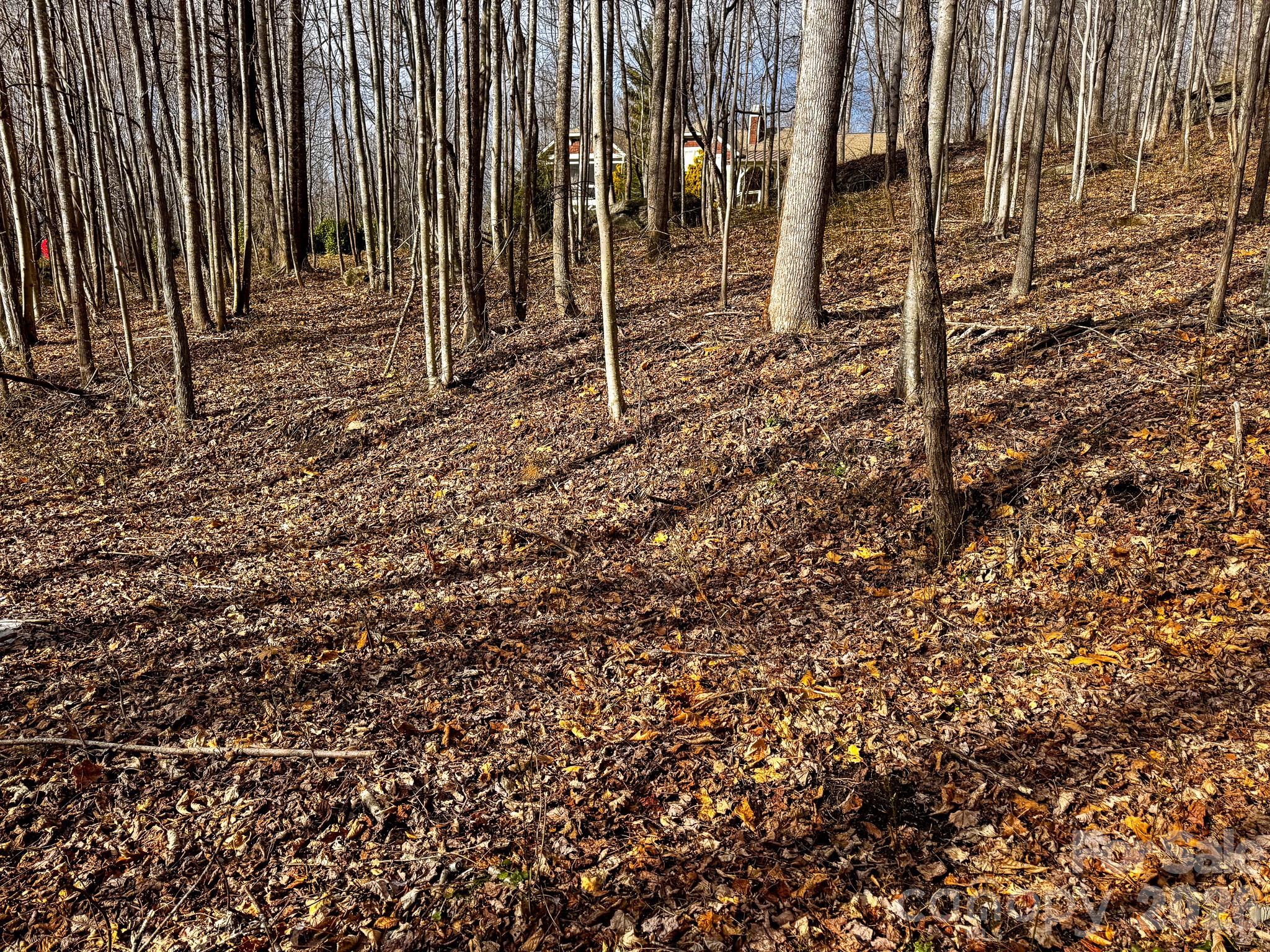 770 Somersby Parkway Property Photo 9