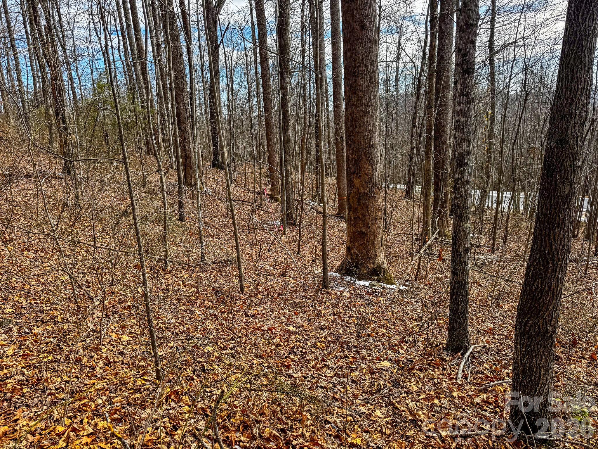 770 Somersby Parkway Property Photo 15