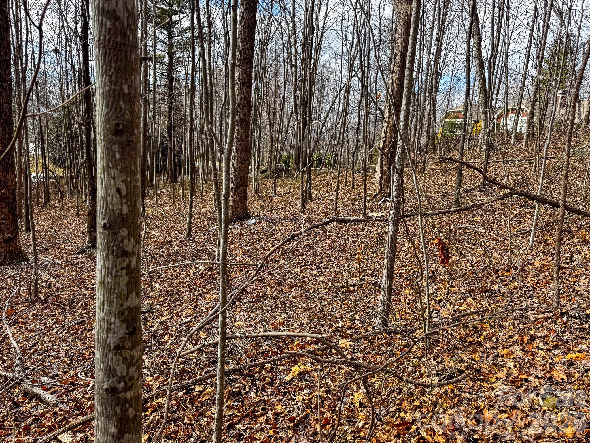 770 Somersby Parkway Property Photo 17