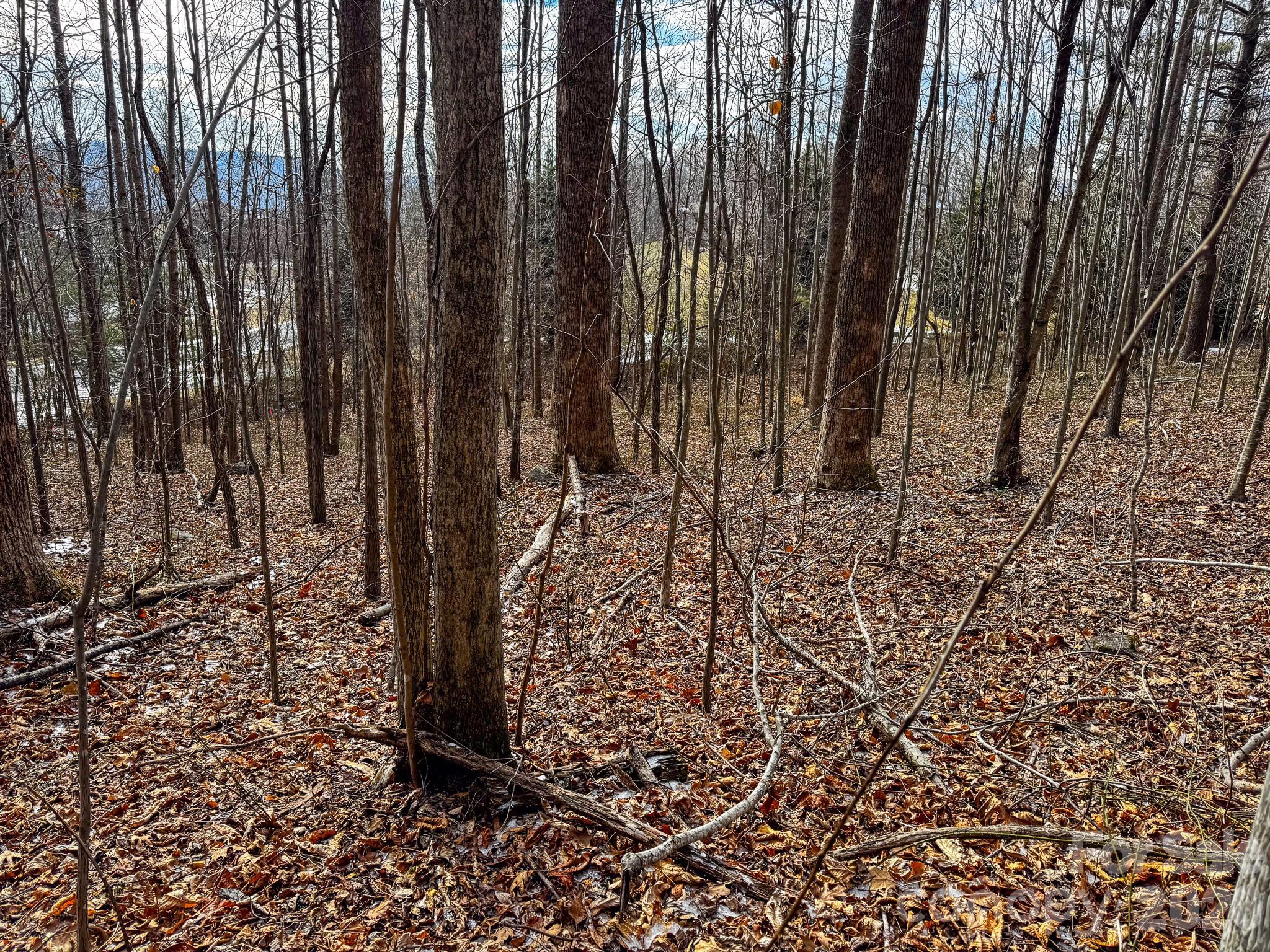 770 Somersby Parkway Property Photo 18