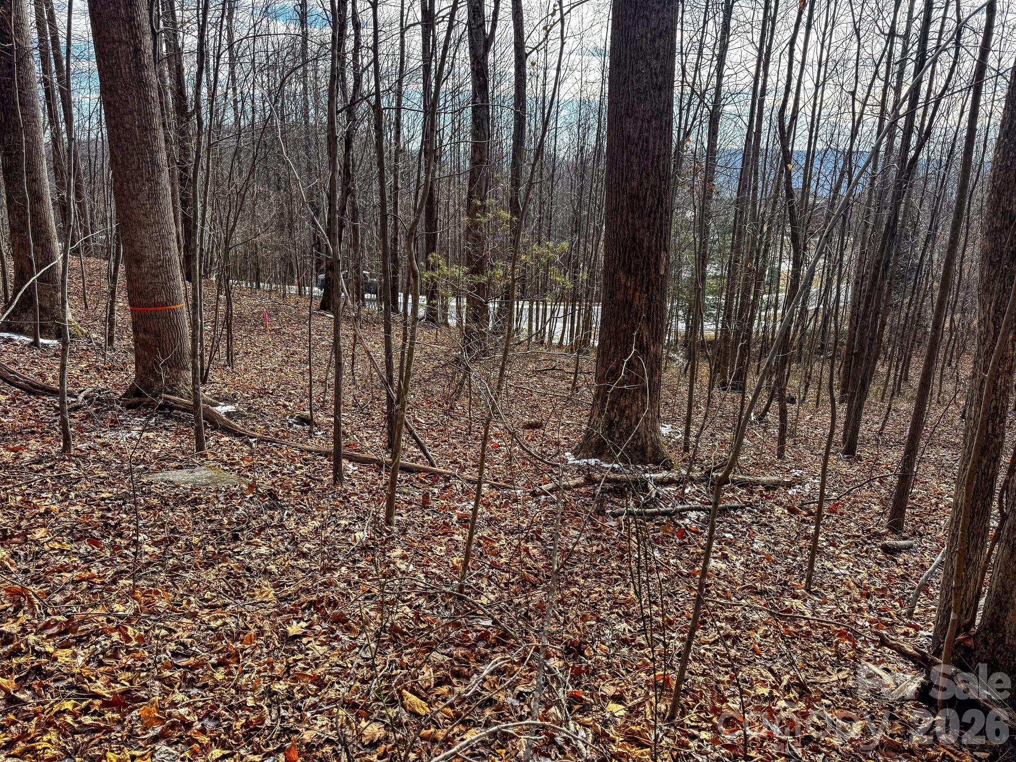 770 Somersby Parkway Property Photo 19