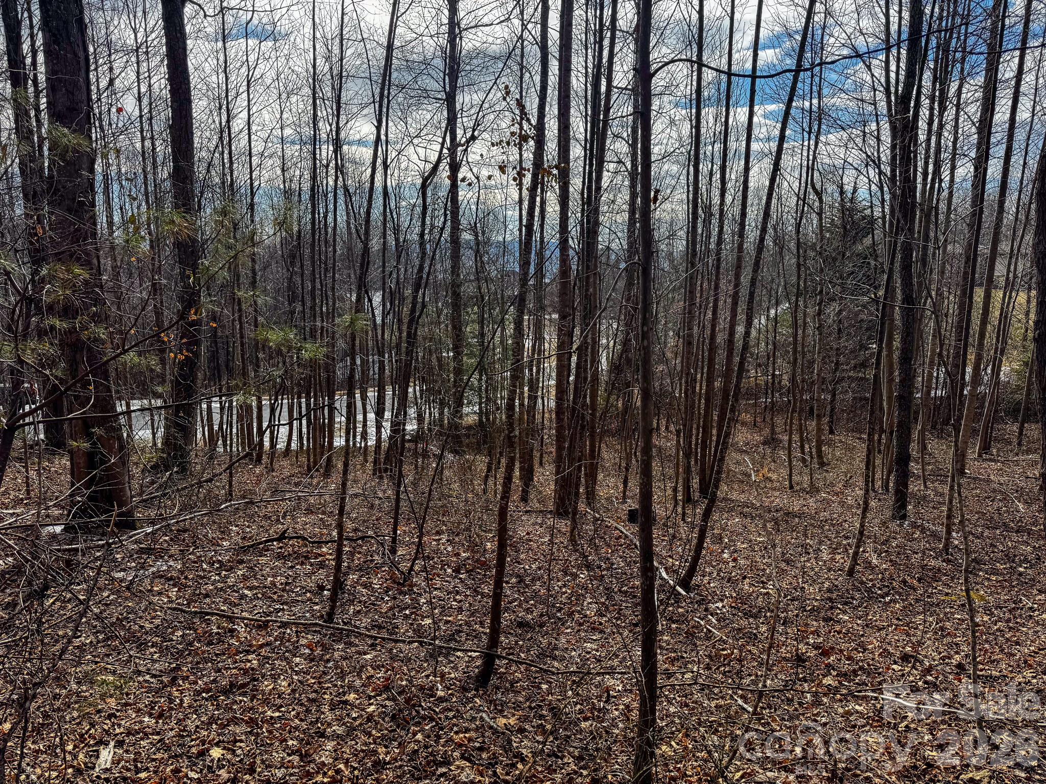 770 Somersby Parkway Property Photo 20