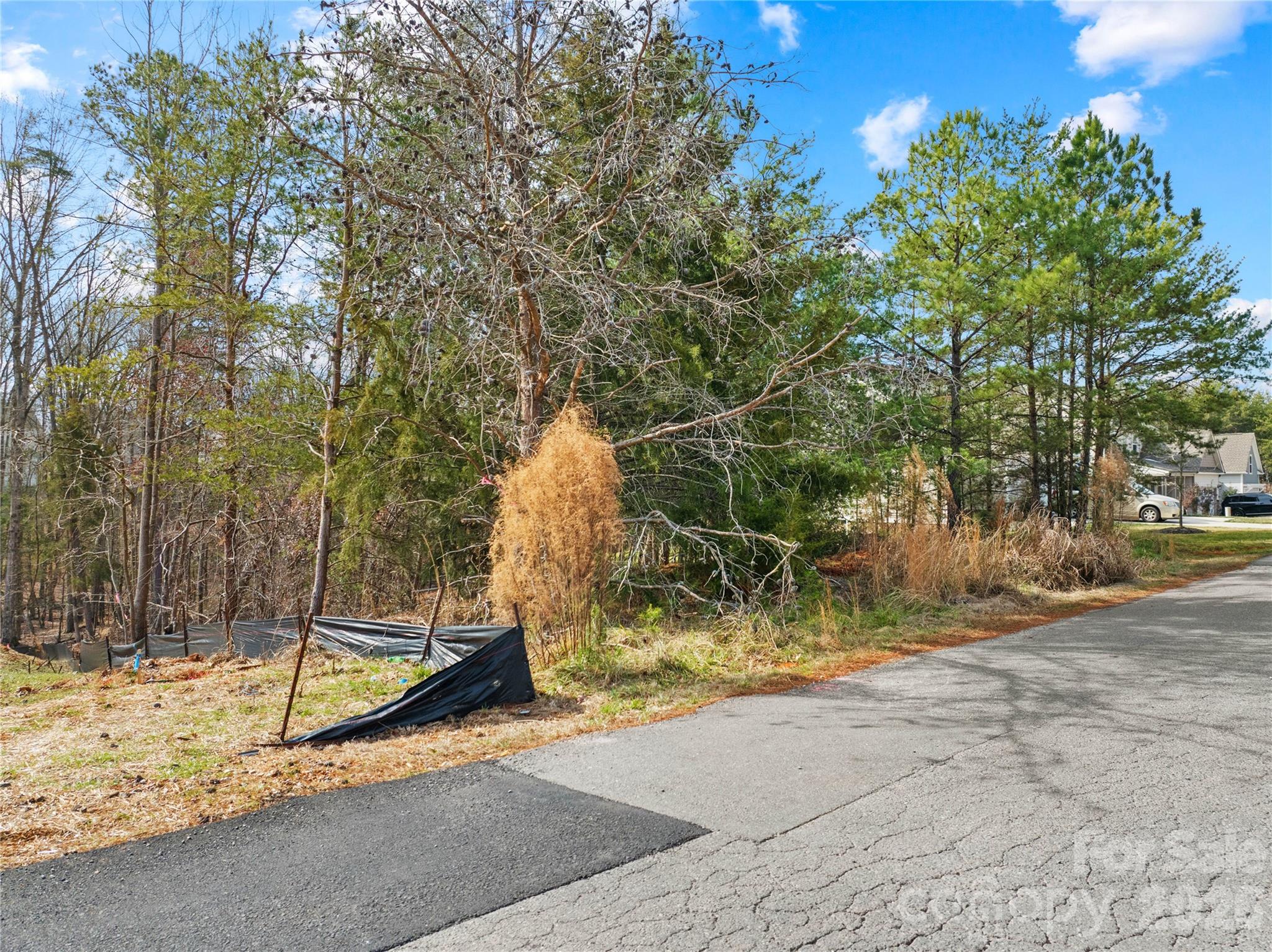 10129 Lakeshore Drive Property Photo 13