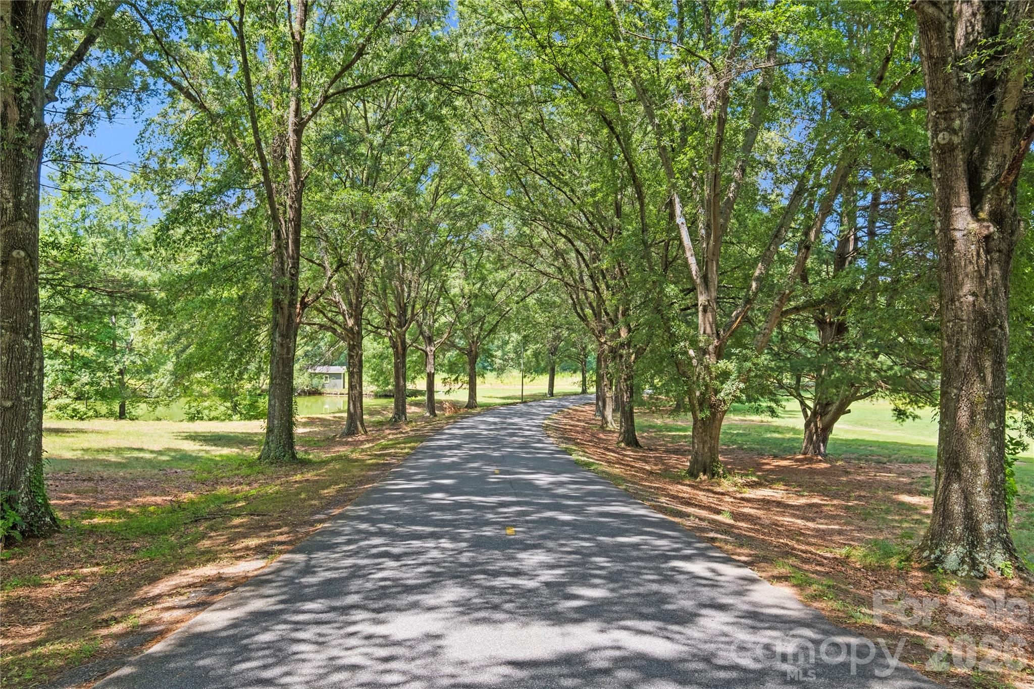 5545 Pine Ridge Drive Property Photo 32