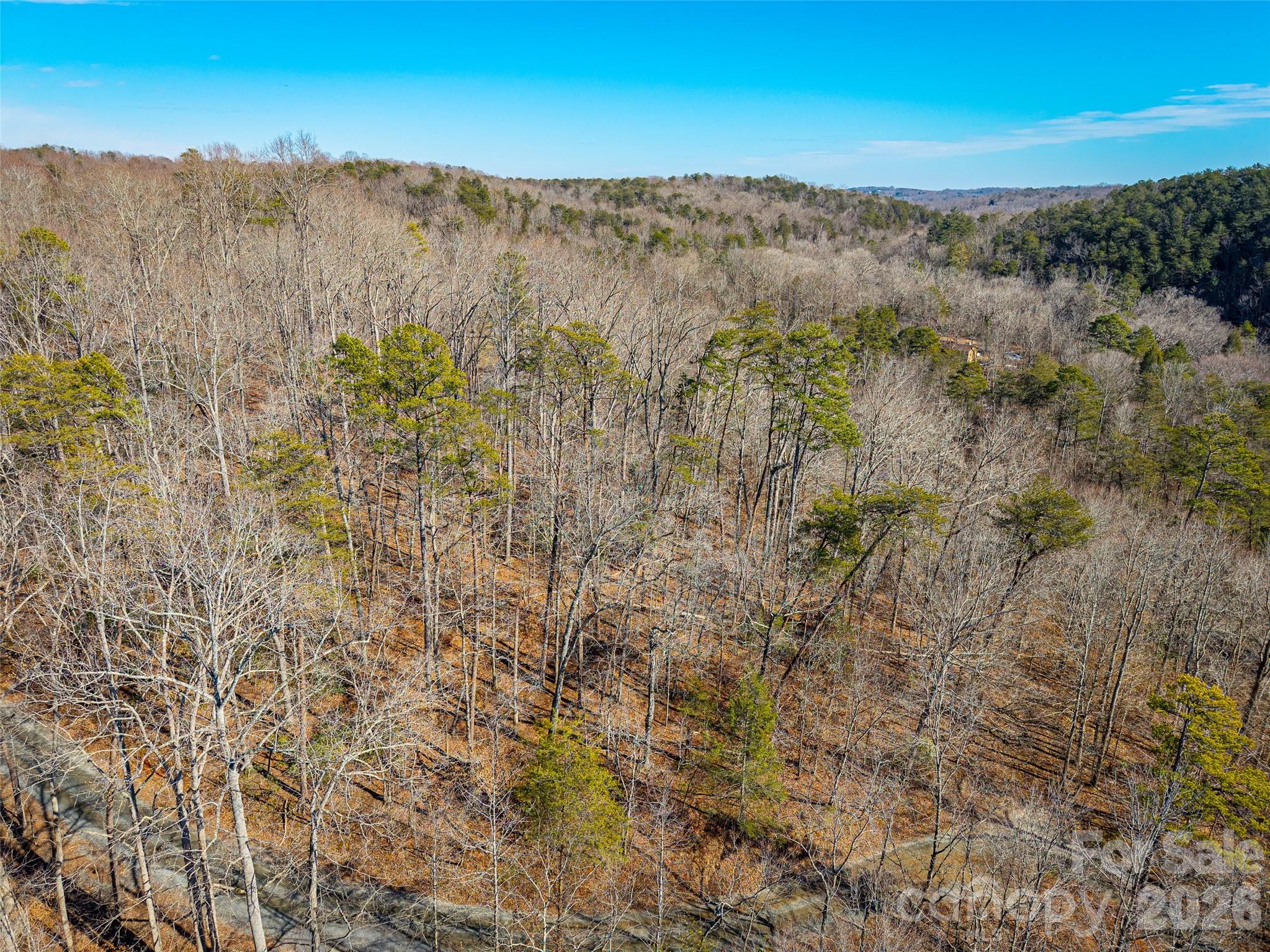 Tbd Rondo Ridge Road Property Photo 7