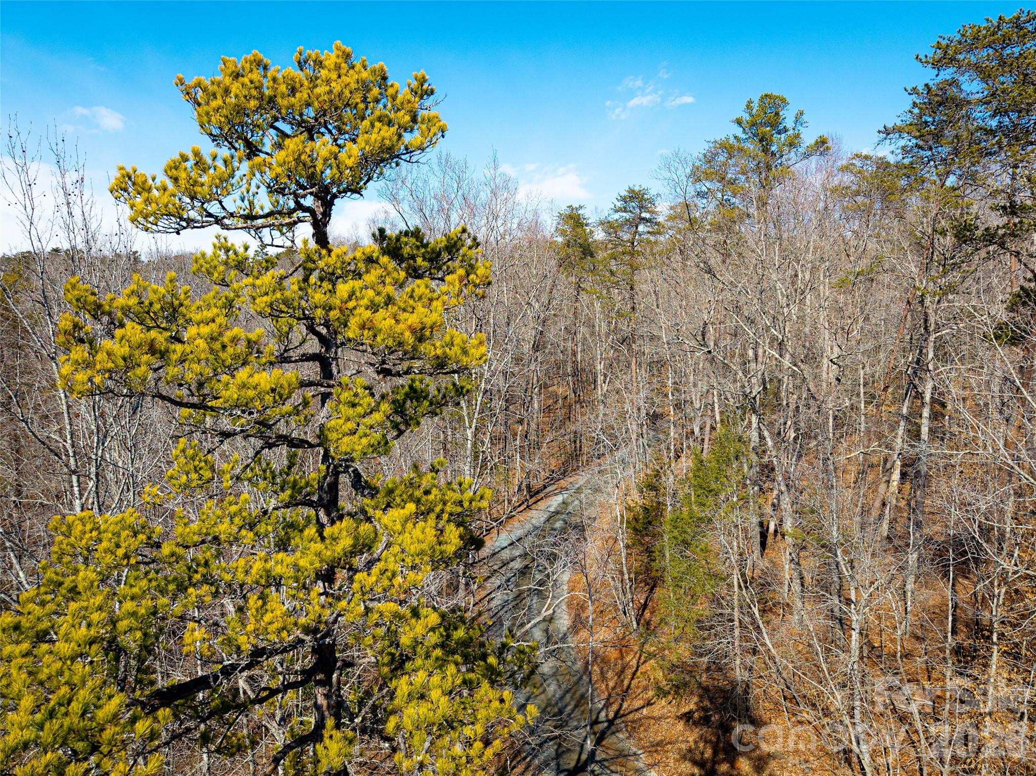 Tbd Rondo Ridge Road Property Photo 8