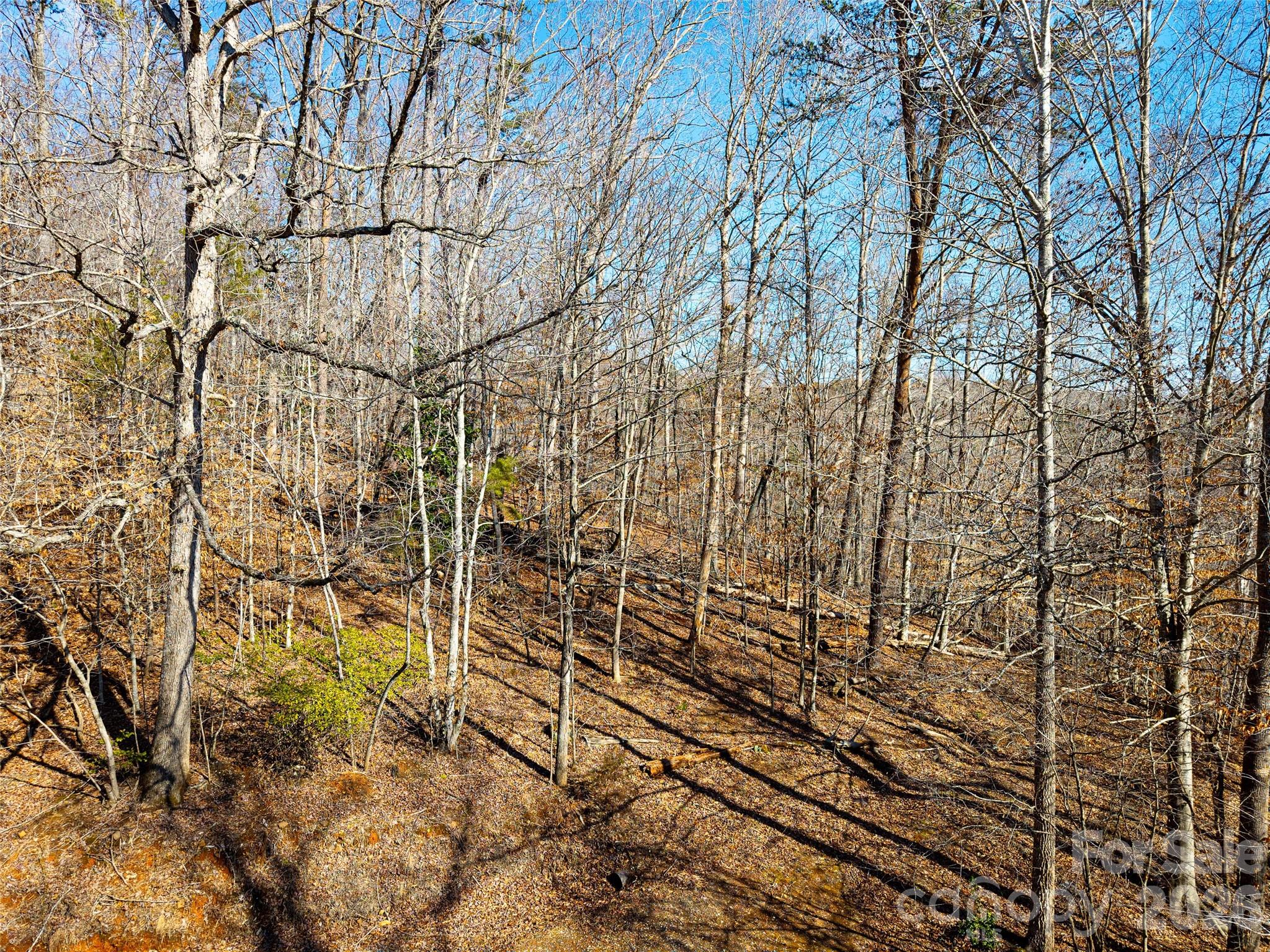 Tbd Rondo Ridge Road Property Photo 9