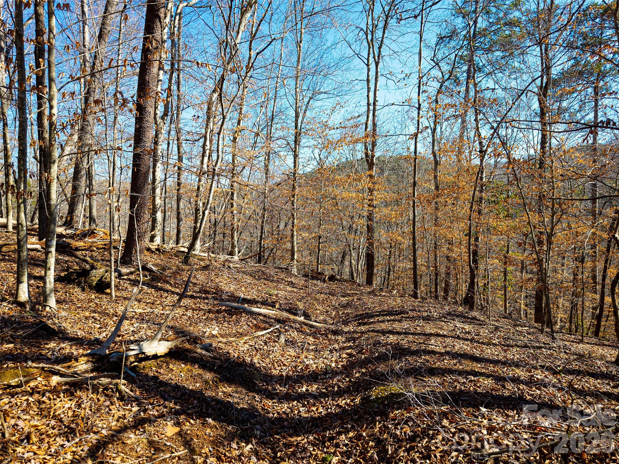Tbd Rondo Ridge Road Property Photo 13