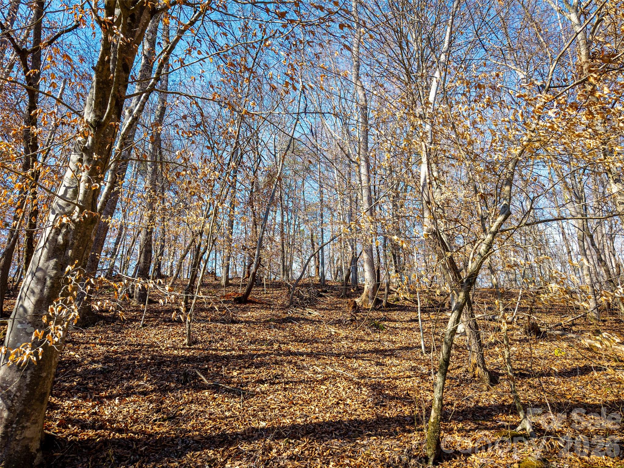 Tbd Rondo Ridge Road Property Photo 14