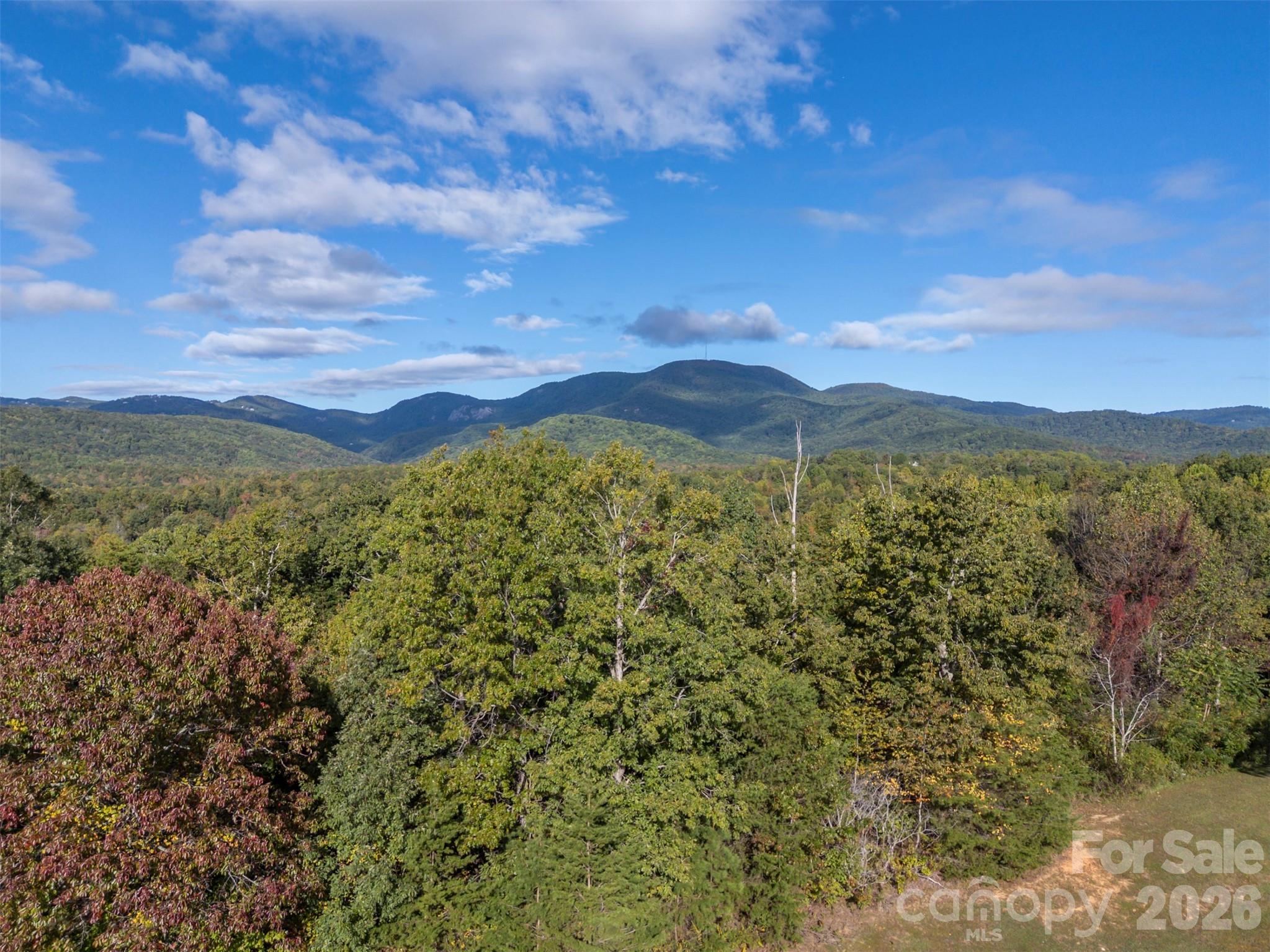 100 Pardo Road Property Photo 7