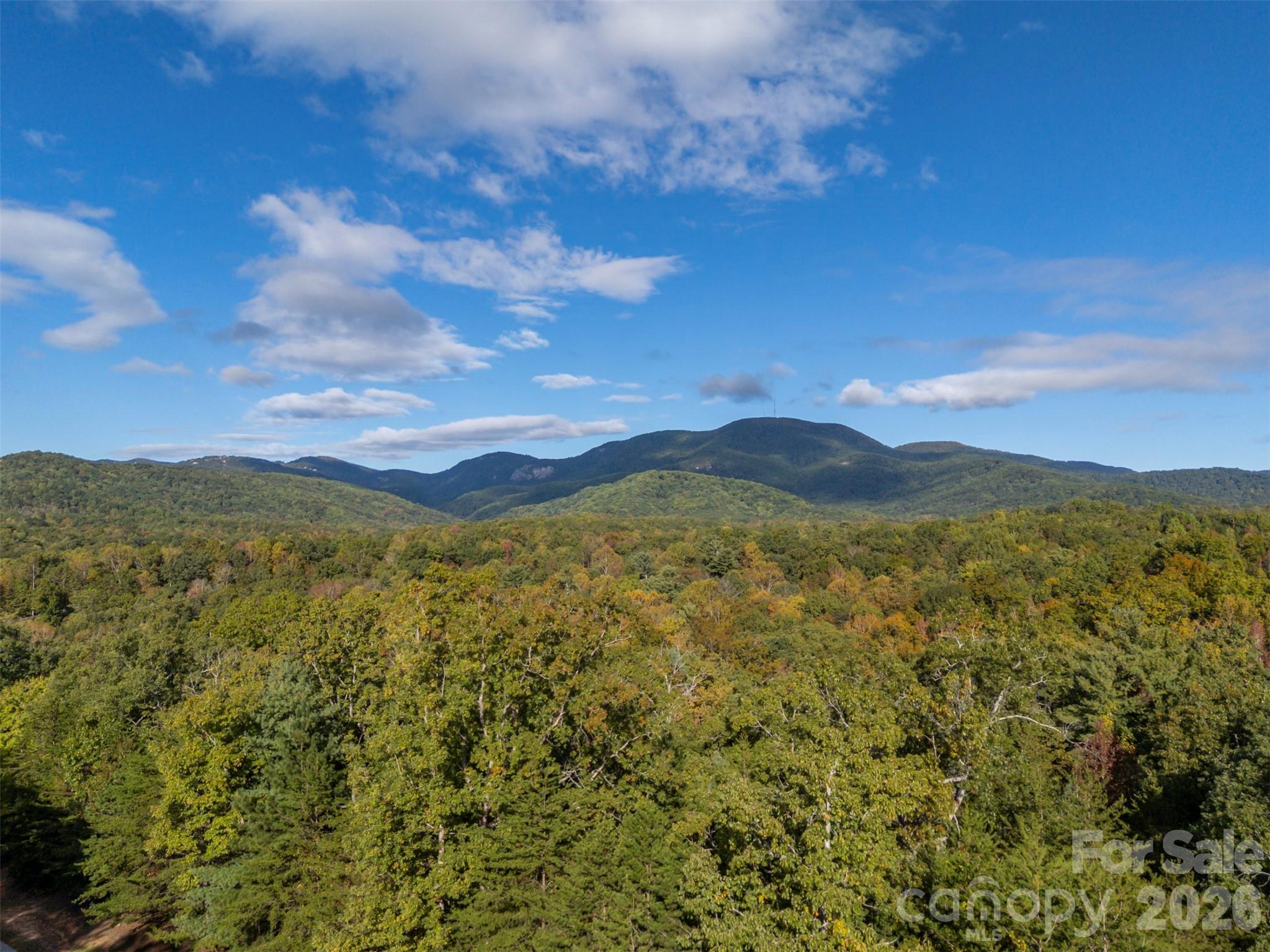 100 Pardo Road Property Photo 15