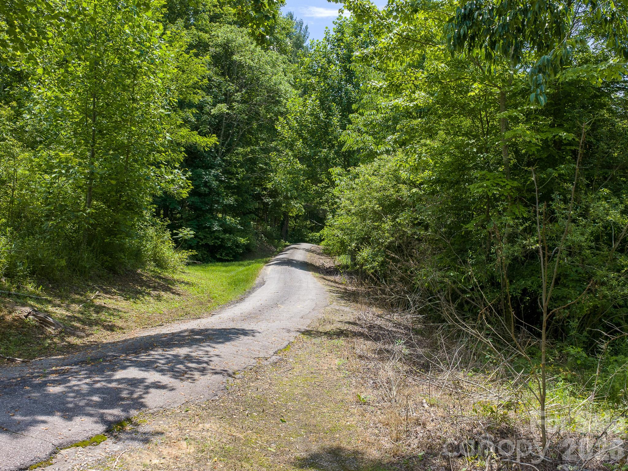 00 Sallys Branch Road Property Photo 9