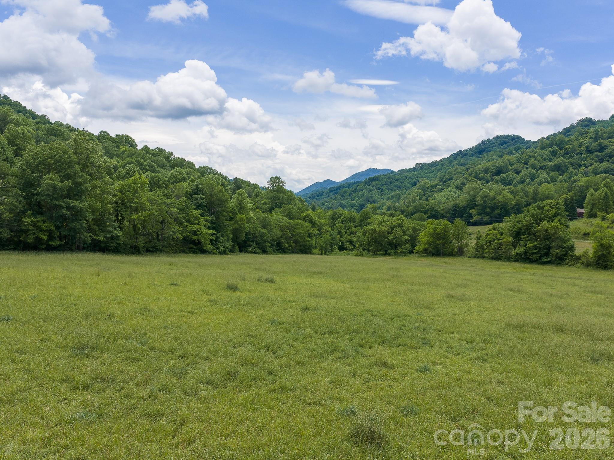 00 Sallys Branch Road Property Photo 11