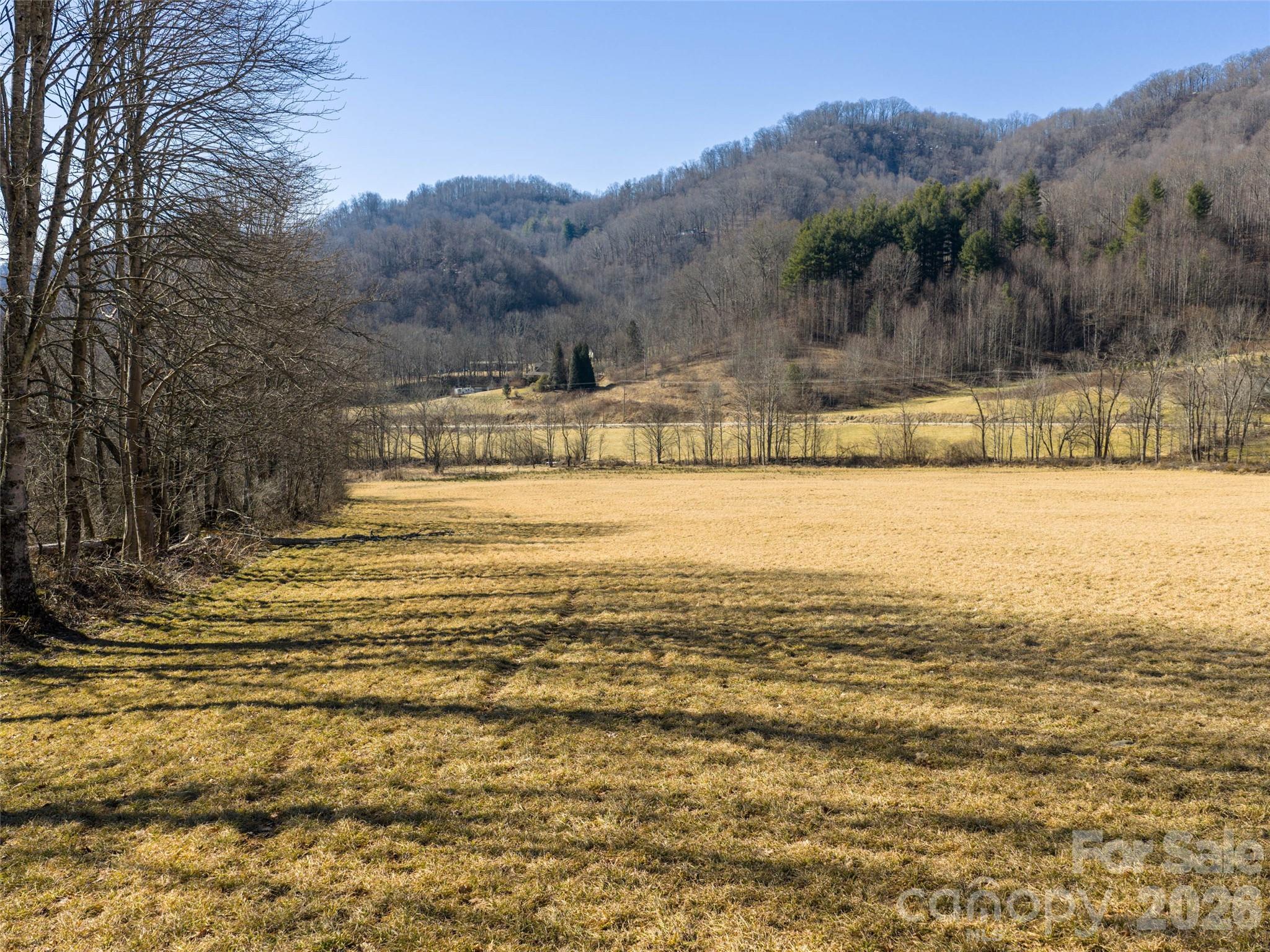 00 Sallys Branch Road Property Photo 19