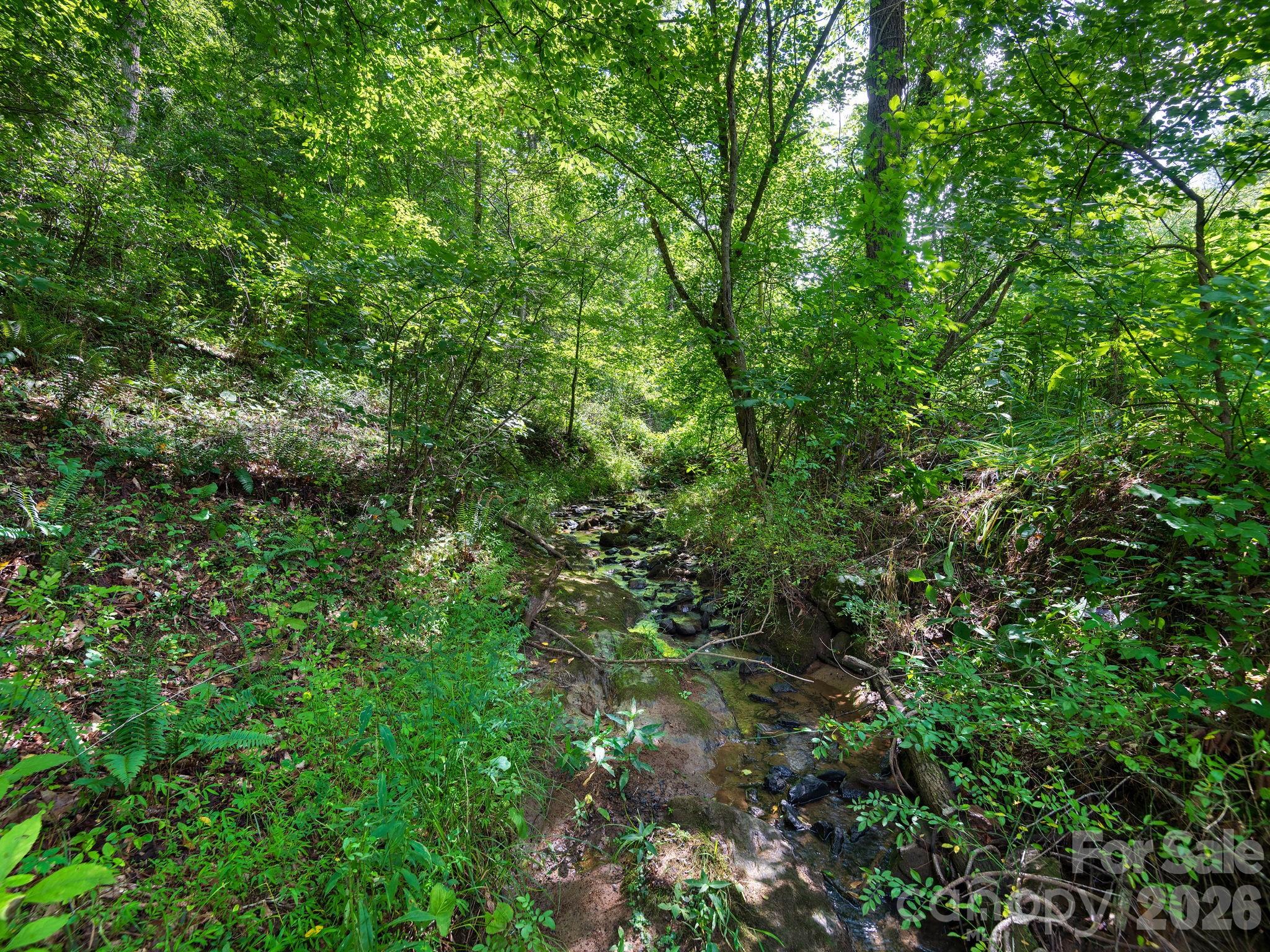 99999 Baileys Branch Road Property Photo 5