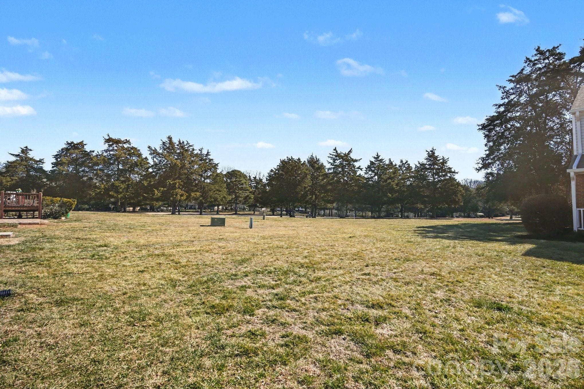 8221 Circle Tree Lane Property Photo 22
