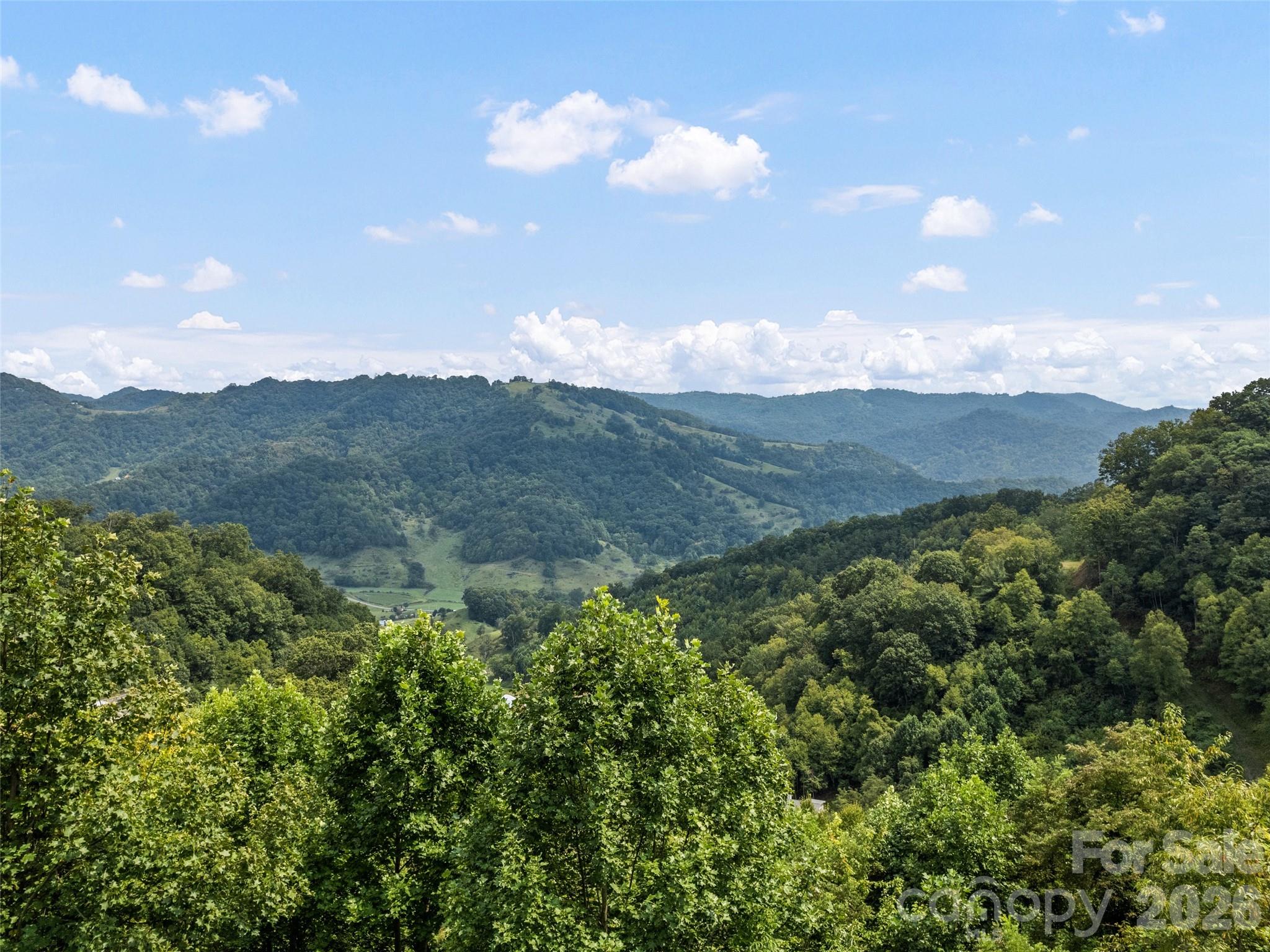 1225 Clark Road Property Photo 7