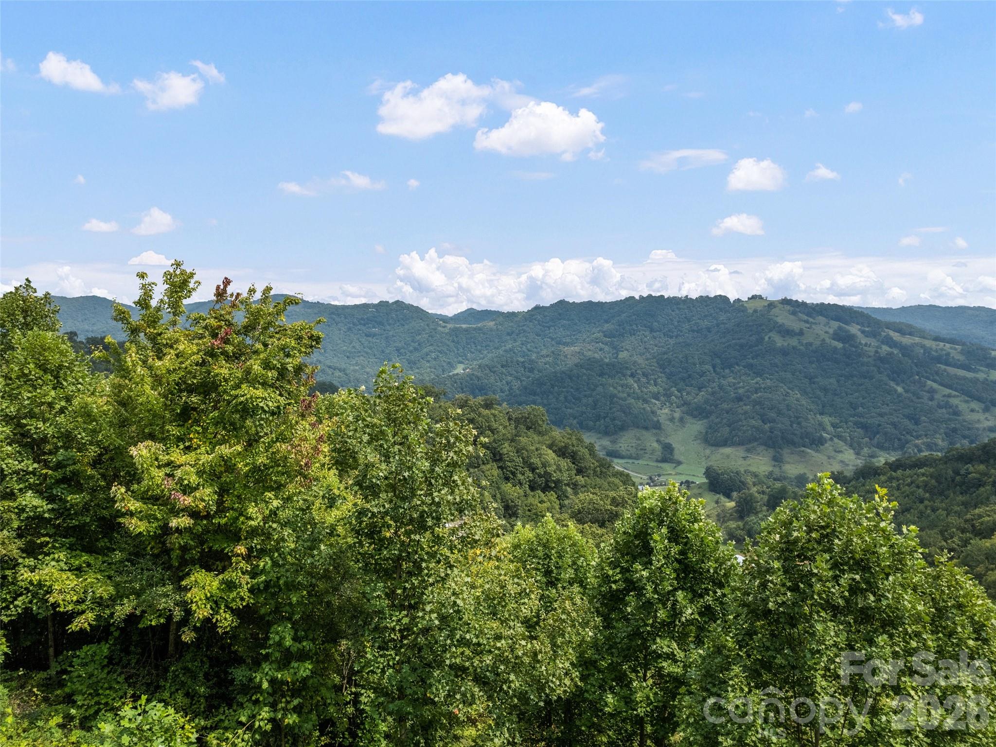 1225 Clark Road Property Photo 8