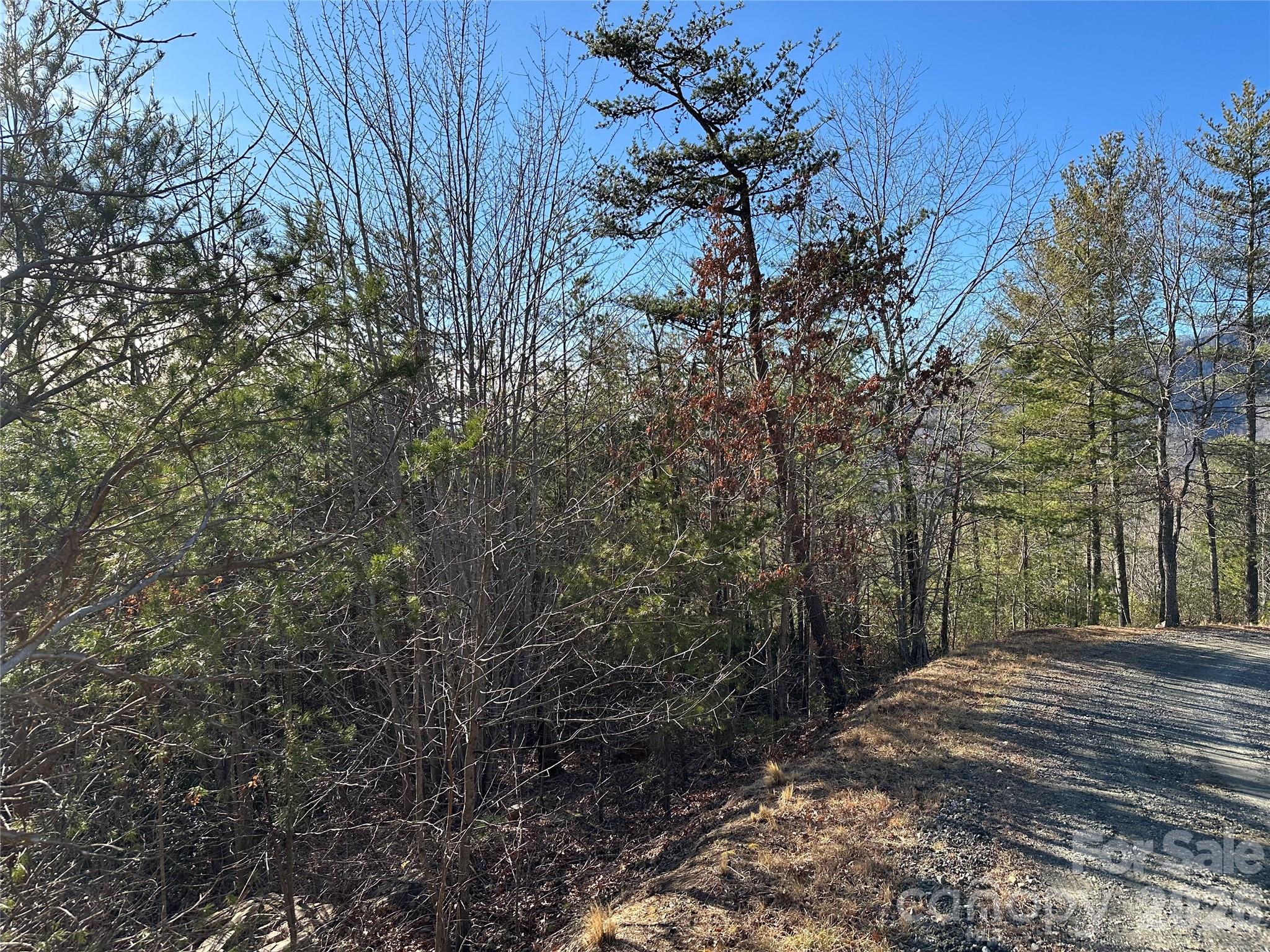 000 Fox Ridge Trail 57 Property Photo 2