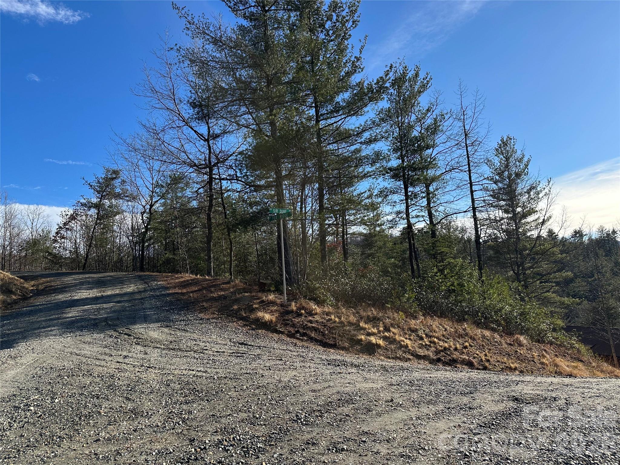 000 Fox Ridge Trail 57 Property Photo 3