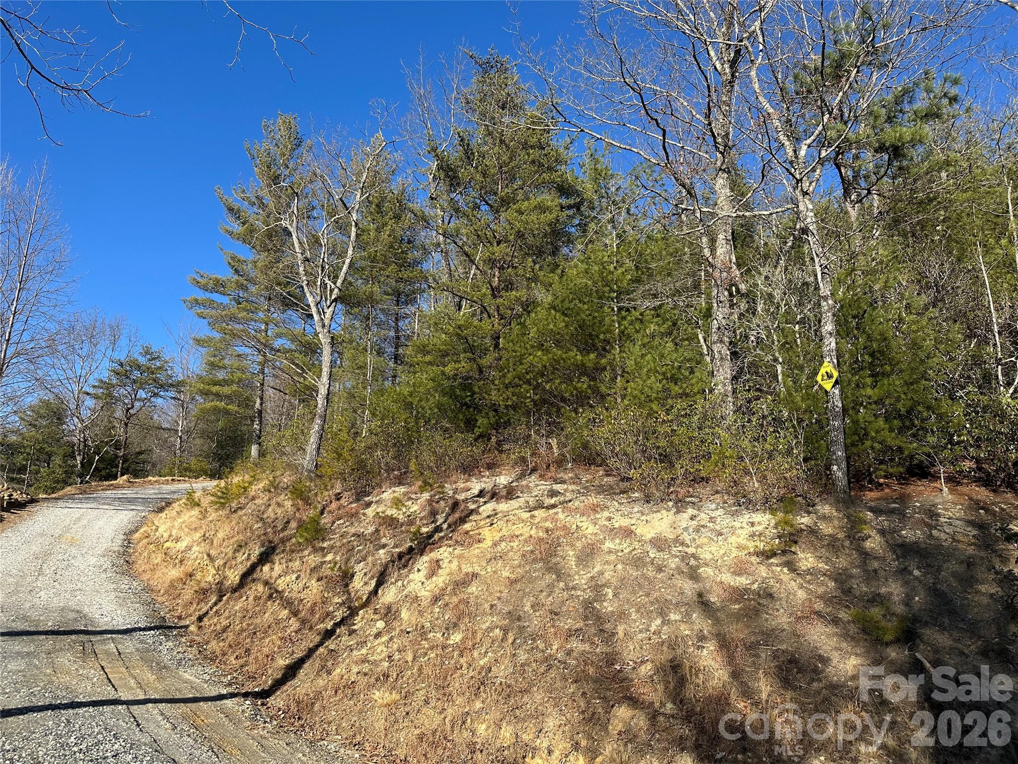 000 Fox Ridge Trail 57 Property Photo 4