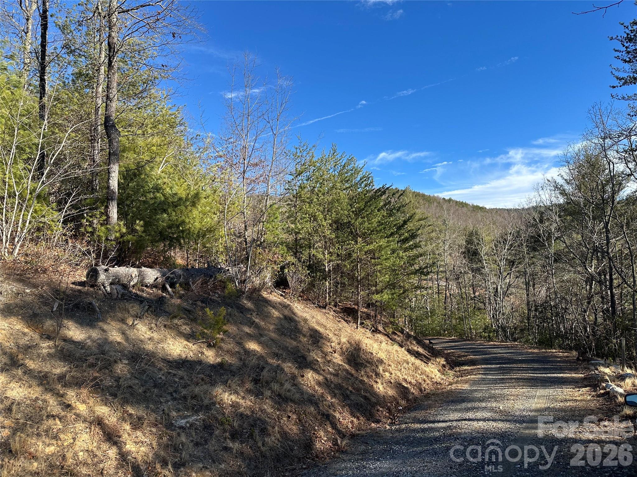000 Fox Ridge Trail 57 Property Photo 5