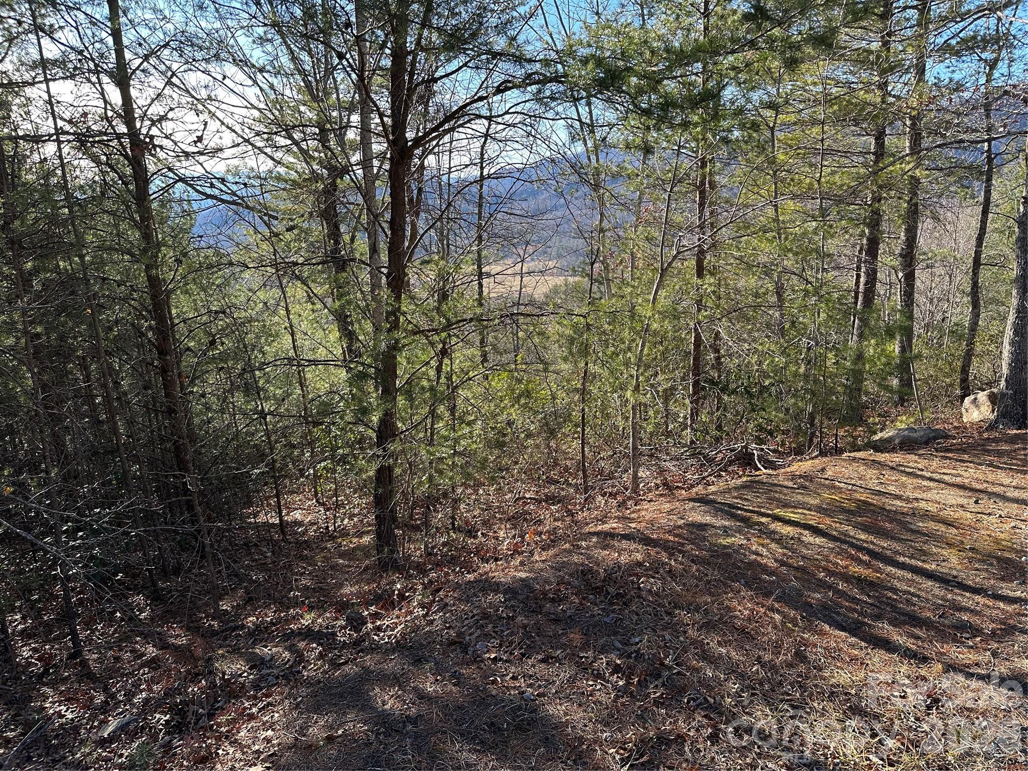 000 Fox Ridge Trail 57 Property Photo 6