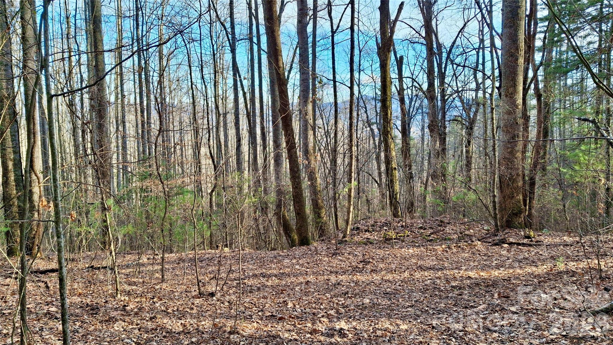 0 Briarwood Road Property Photo 3
