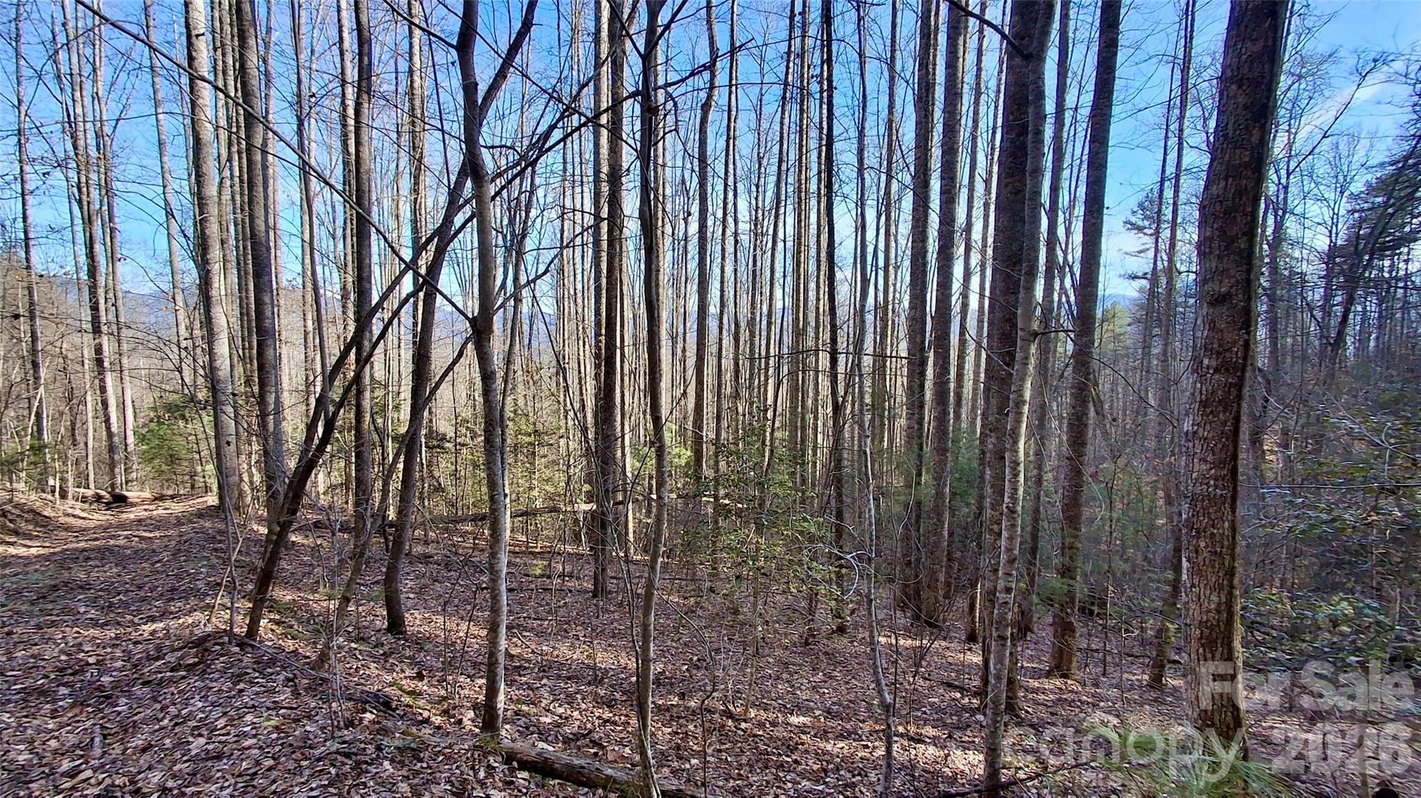 0 Briarwood Road Property Photo 6