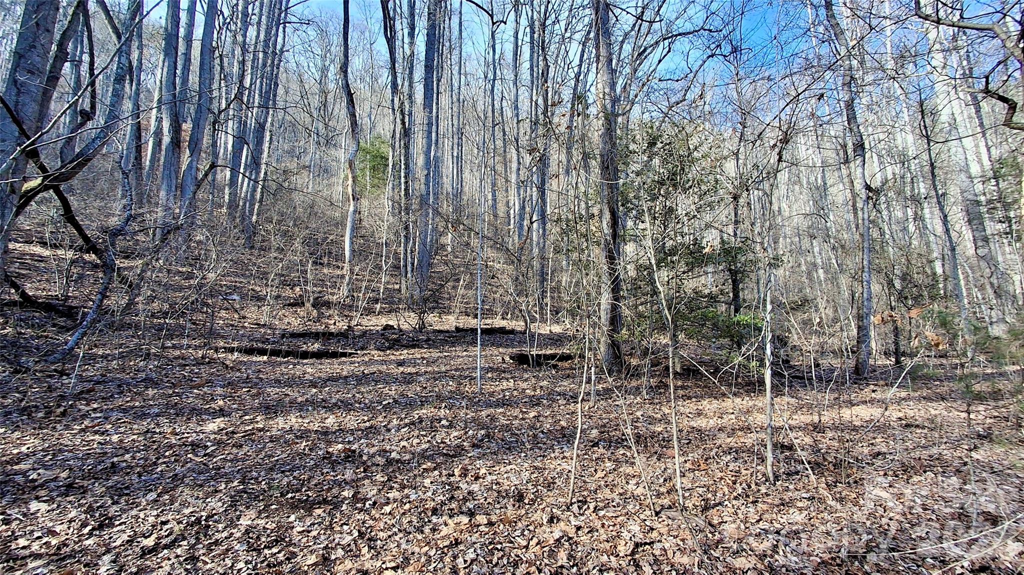 0 Briarwood Road Property Photo 20