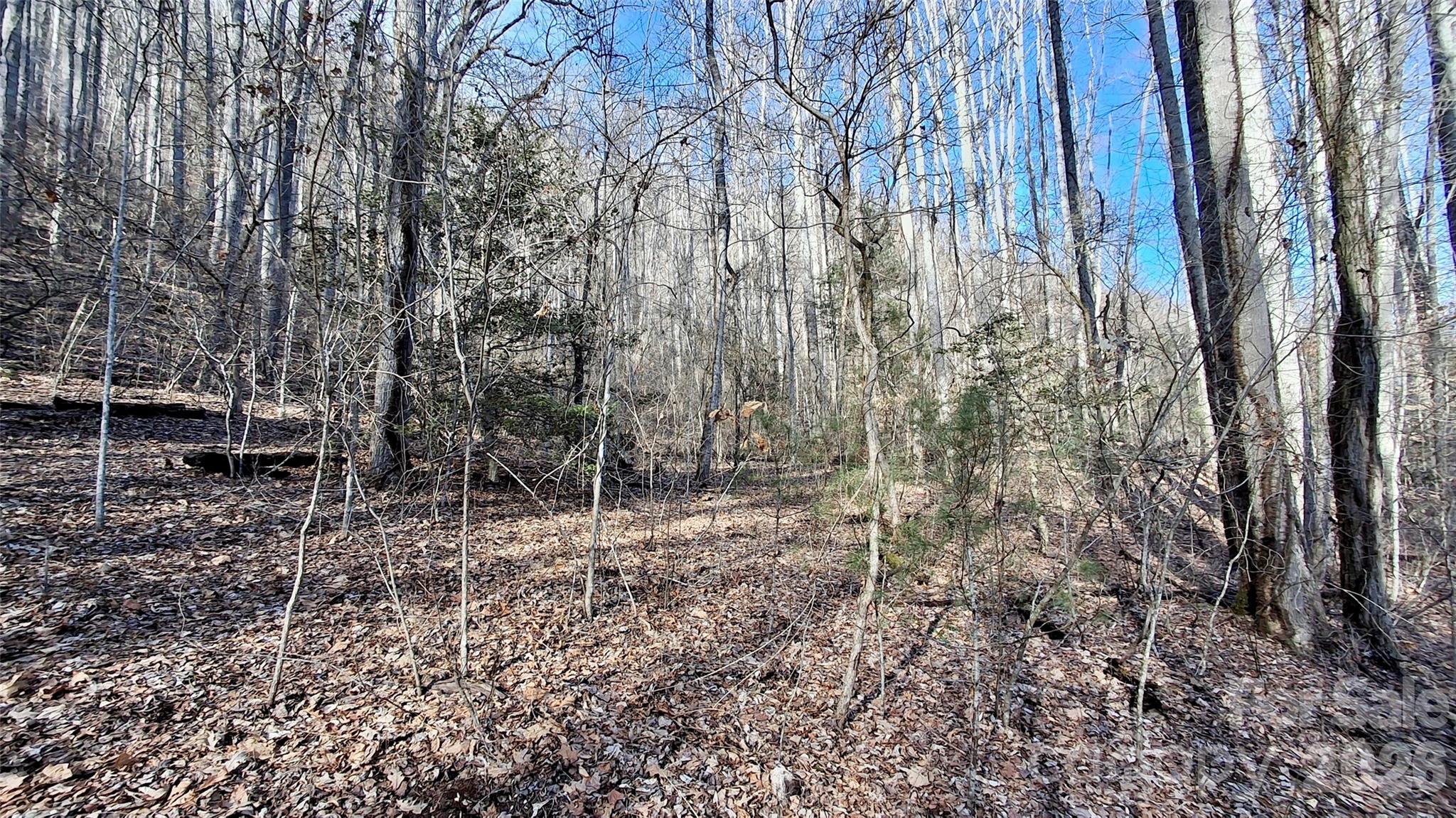 0 Briarwood Road Property Photo 21
