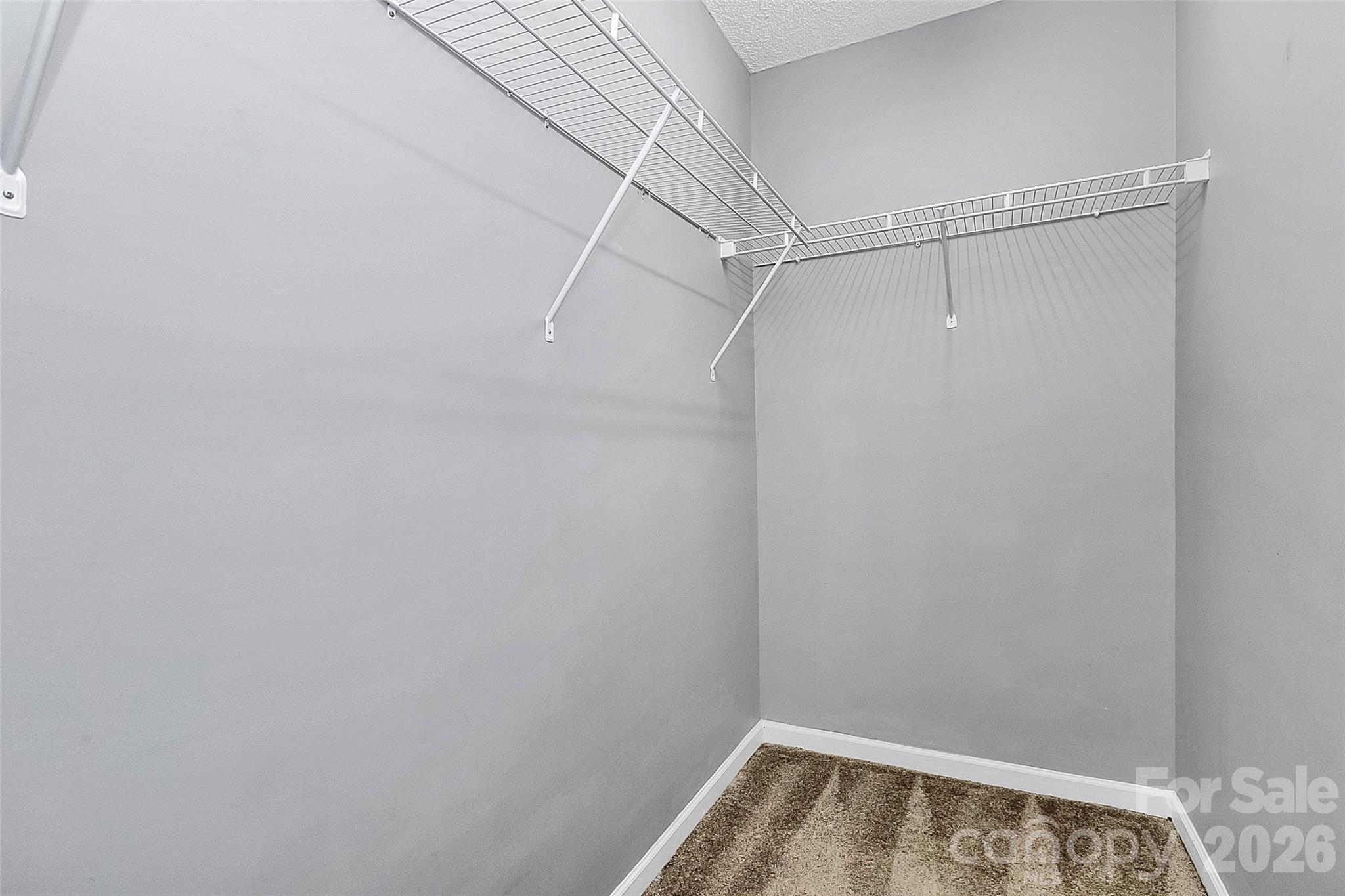 10739 Holly Ridge Boulevard Property Photo 22