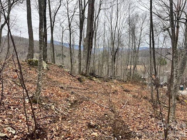C-114 Spring Water Lane Property Photo 1