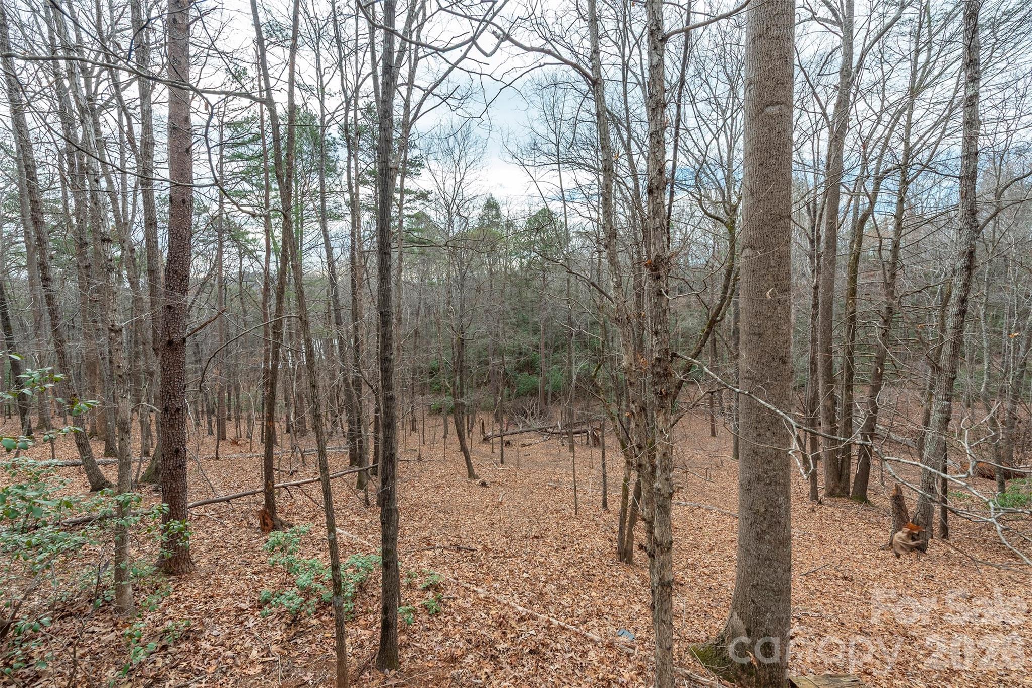 145 Flynn Court Property Photo 33