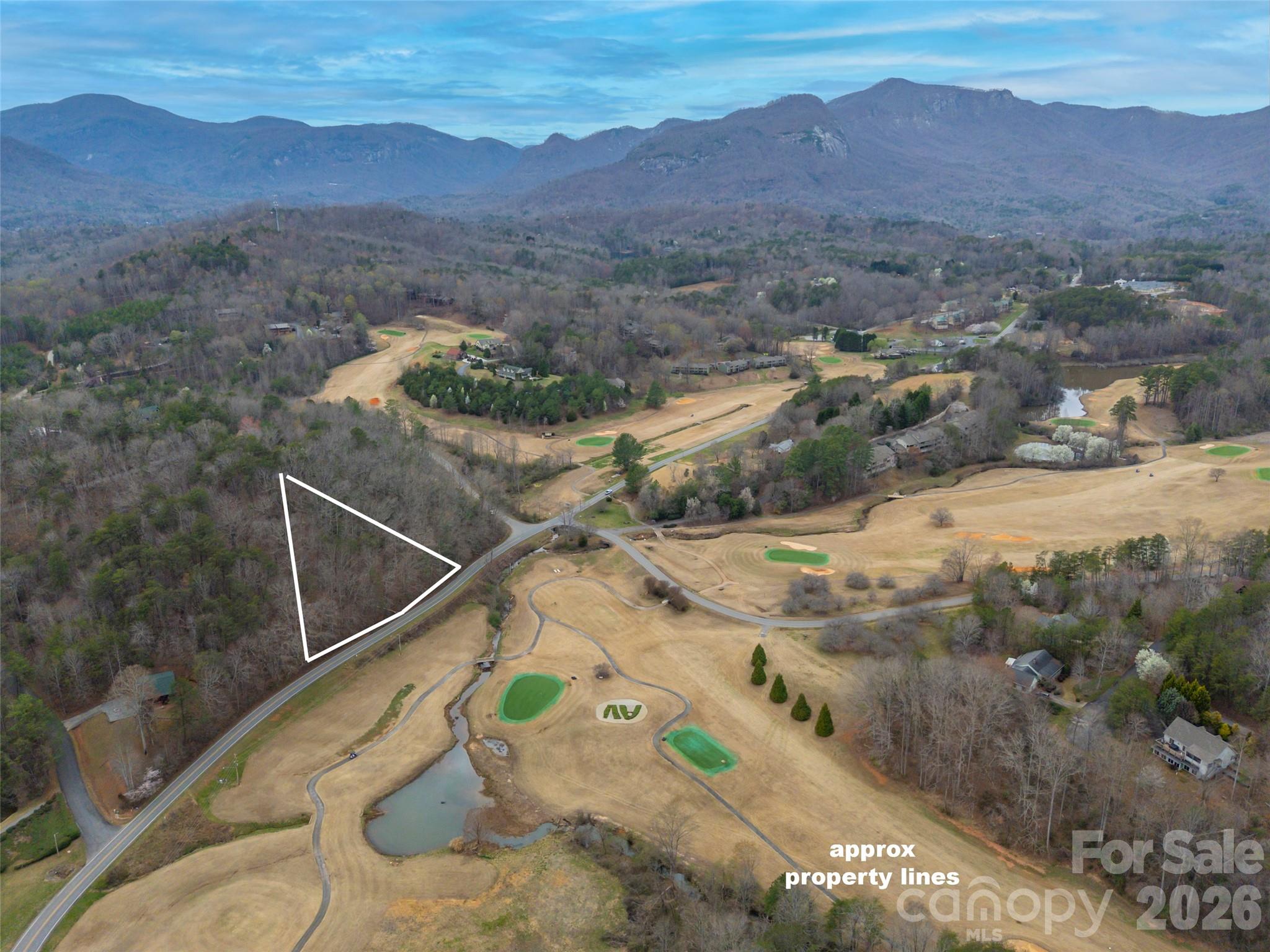 0 Buffalo Creek Road Lot 35 Property Photo 2