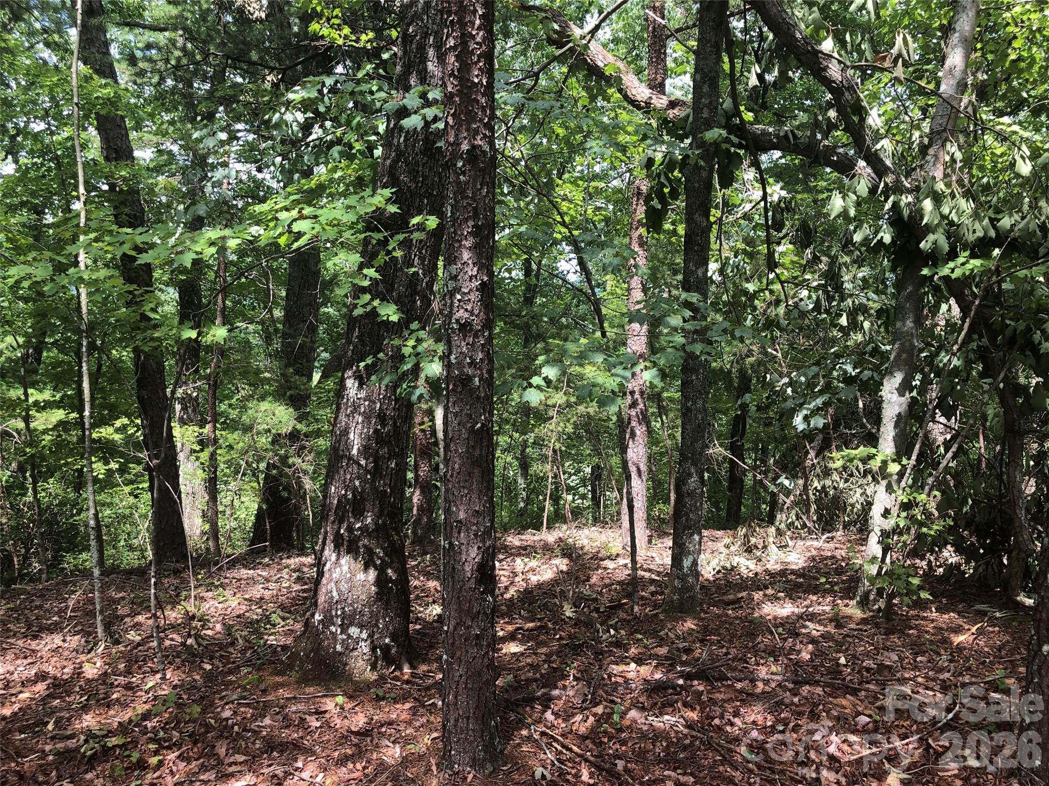 0 Buffalo Creek Road Lot 35 Property Photo 5
