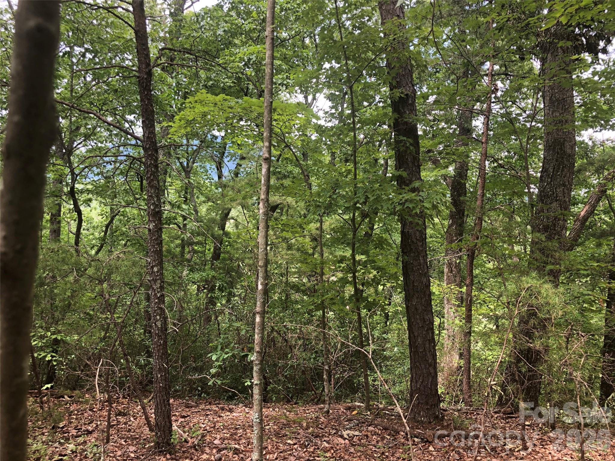 0 Buffalo Creek Road Lot 35 Property Photo 6