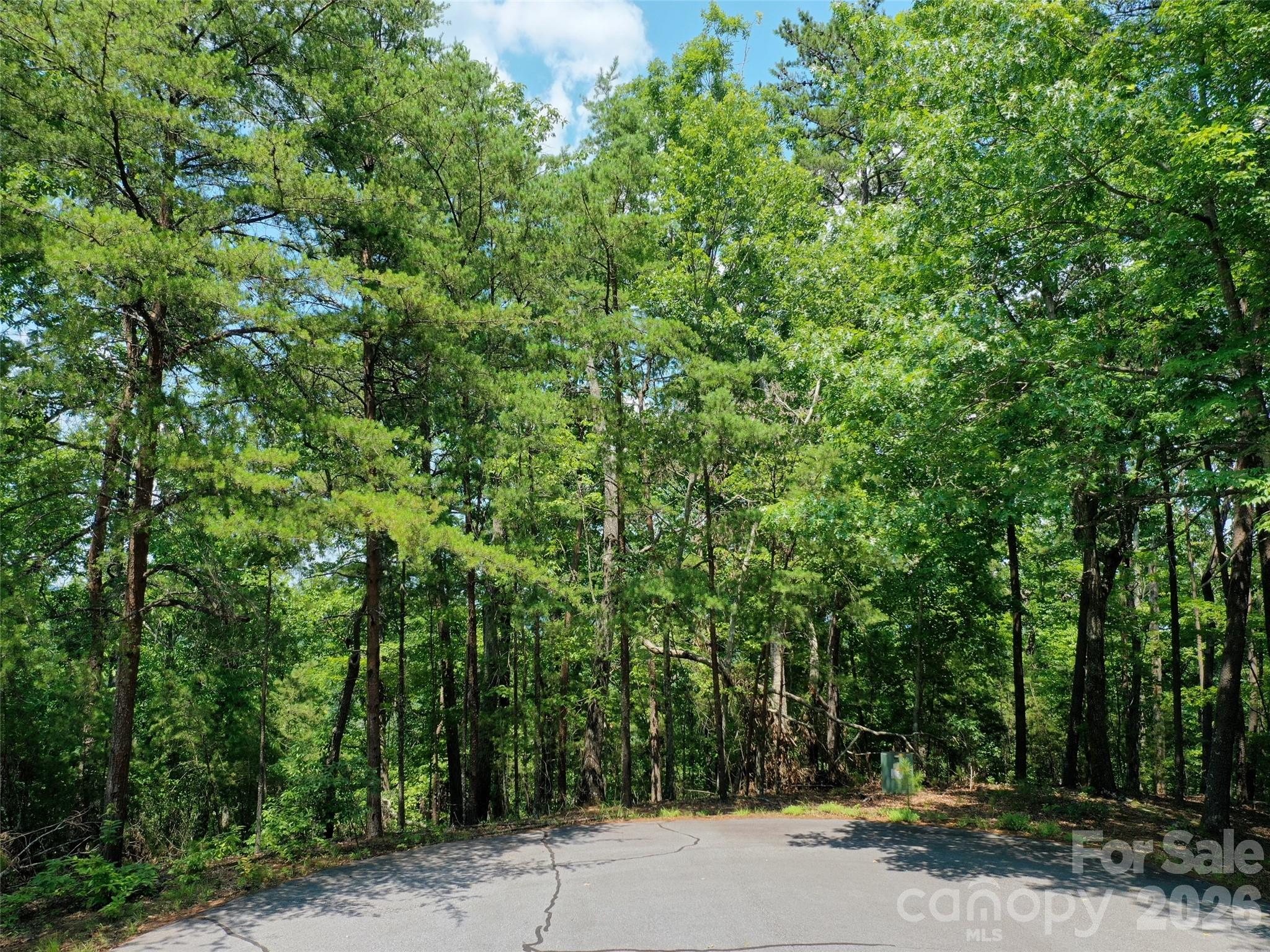 0 Buffalo Creek Road Lot 35 Property Photo 8