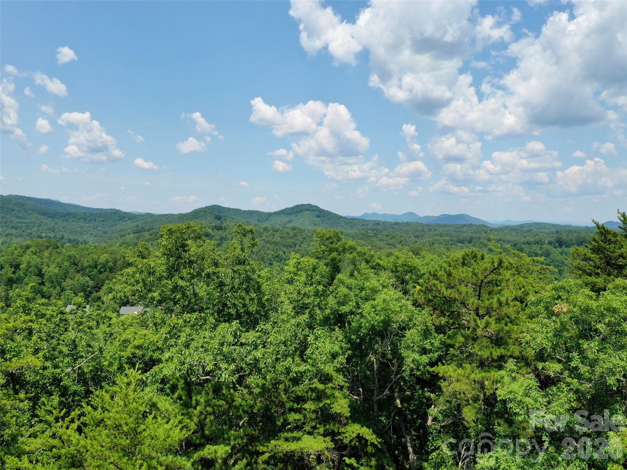 0 Buffalo Creek Road Lot 35 Property Photo 9