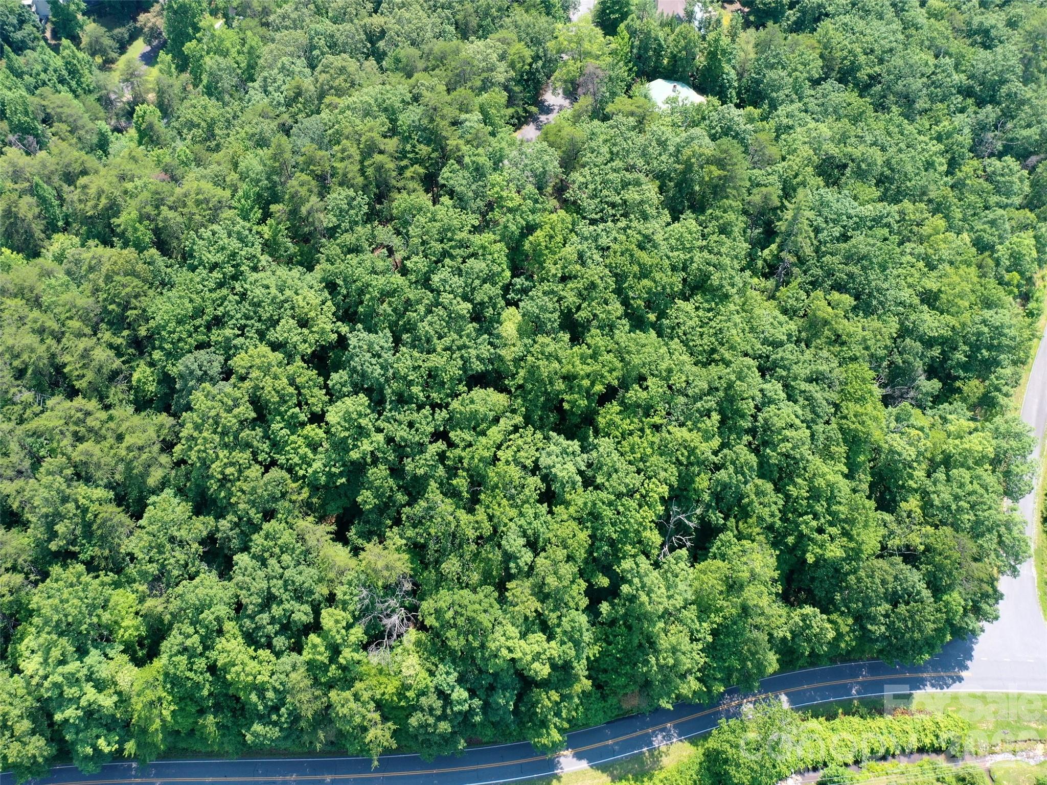 0 Buffalo Creek Road Lot 35 Property Photo 10
