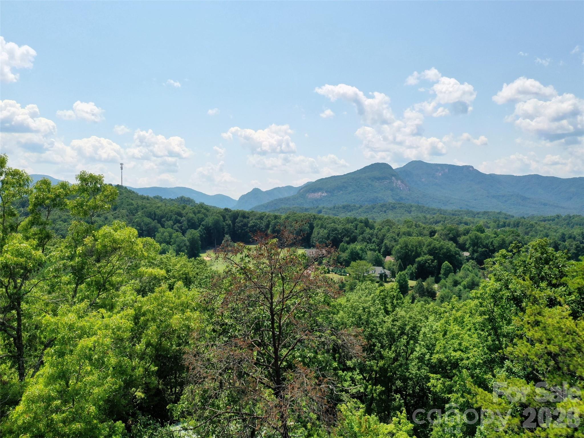 0 Buffalo Creek Road Lot 35 Property Photo 16