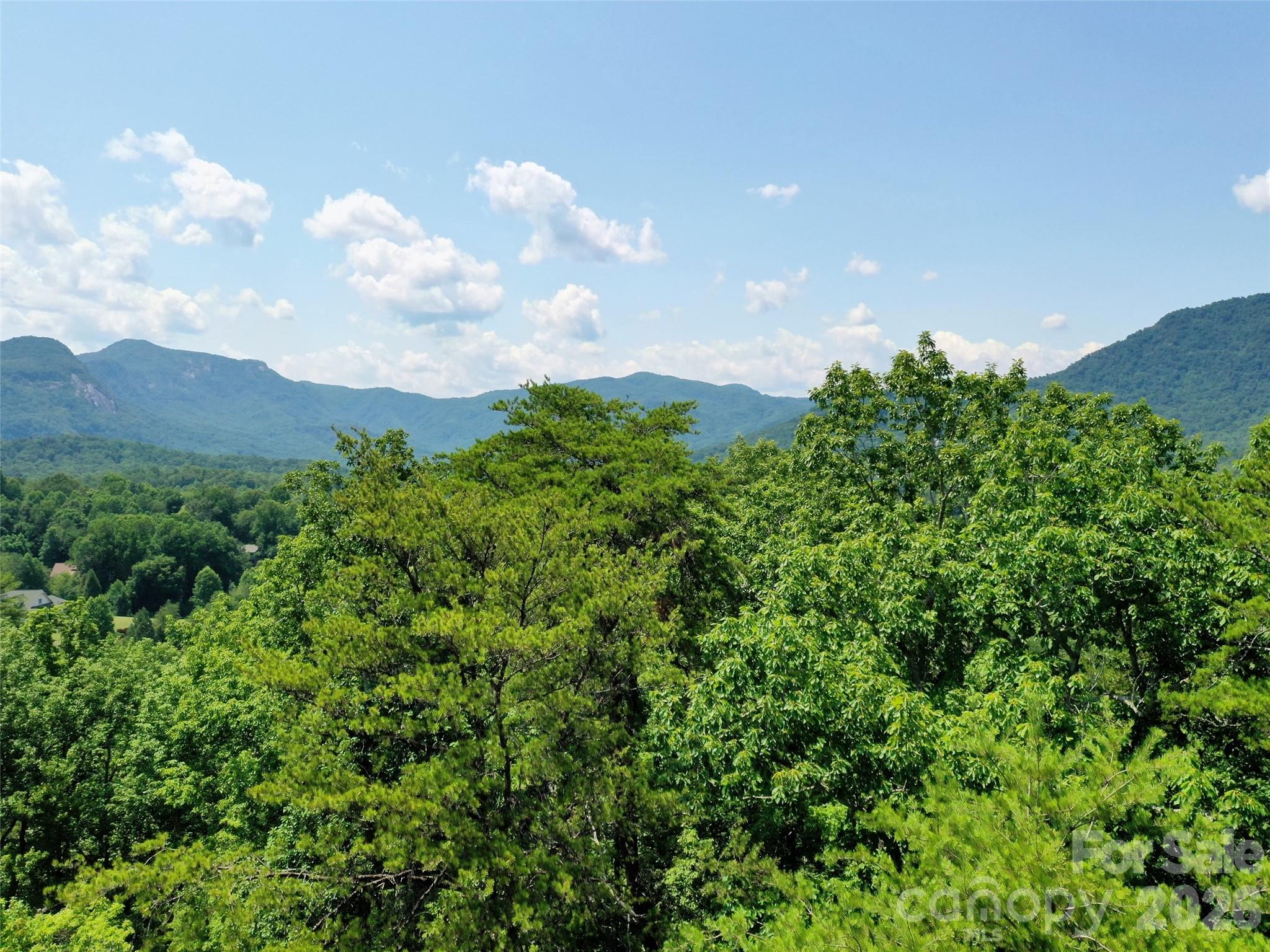 0 Buffalo Creek Road Lot 35 Property Photo 17